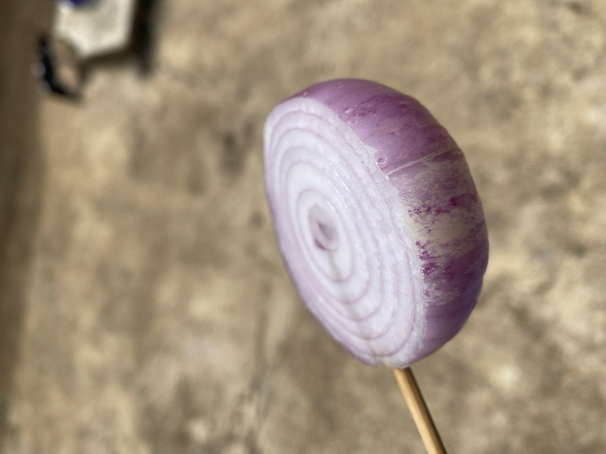 The image displays a close-up, shallow depth of field shot of a single, horizontally sliced red onion piece skewered on a slender, light brown wooden stick. The onion slice is sharply in focus, revealing its distinct purple outer layers and lighter, concentric rings towards its white center. The texture of the onion's cut surface is visible, showing its moist, fibrous structure.
The background is heavily blurred, appearing as a textured, irregular surface in shades of light brown and beige, suggesting an outdoor setting or a rough ground material like concrete. In the very top-left corner of the frame, a highly indistinct, dark, blurred object with some lighter elements is faintly visible, though its exact nature cannot be determined.
No people are visible in the photograph, and no specific activity is taking place other than the presentation of the onion slice. The lighting suggests it is daytime. There is no visible text. The location context is Maigizo, Nigeria, and the general ambiance is bright and natural.