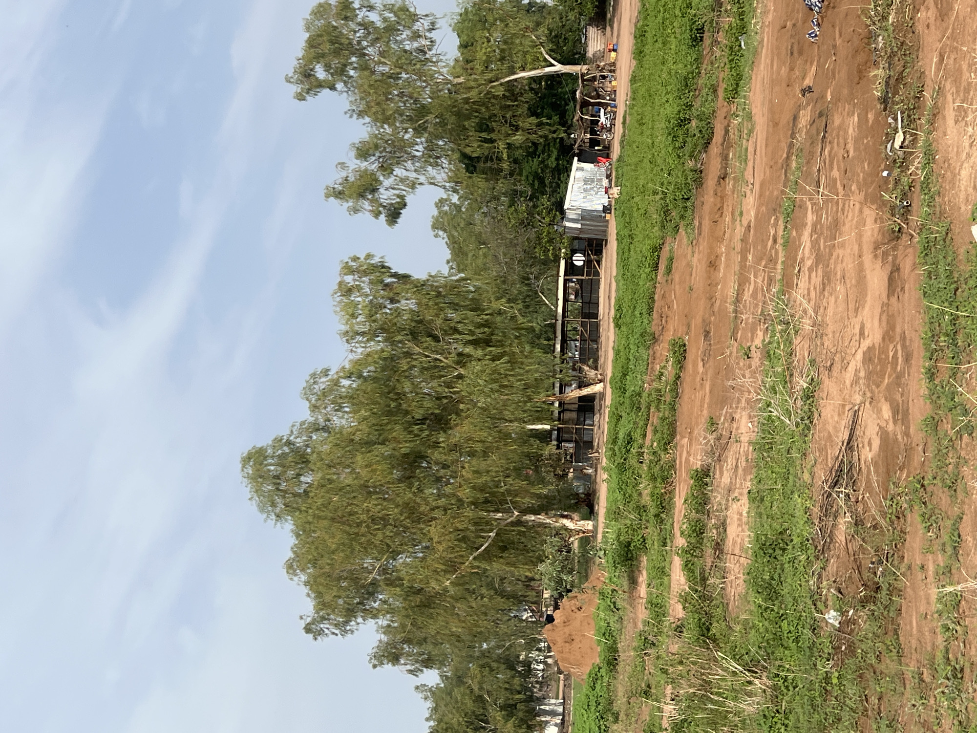 The image depicts a scene in Howayi, Nigeria. A dirt road runs along the right side of the frame, with sparse green vegetation growing along its edge. To the left of the road is a line of trees, appearing to be eucalyptus, behind which are simple structures built with metal sheets, poles, and fences. Motorcycles and various items are visible near the structures. The sky is light blue with scattered clouds. There are no people immediately visible in the image. Debris and small items are scattered on the ground.