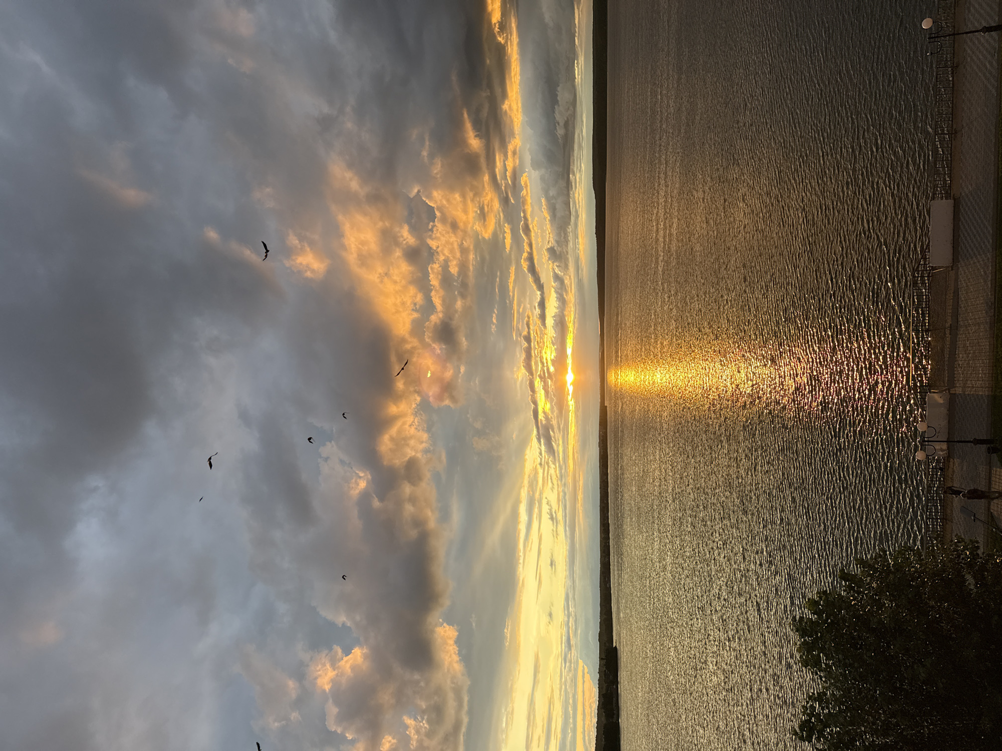 The image captures a scenic view of a wide body of water, likely the Votkinsk Reservoir, during a sunset. The sky is dramatically filled with dark, heavy clouds interspersed with vibrant streaks of orange and yellow where the sun is setting, casting a golden reflection on the rippling water. Several birds are silhouetted against the colorful sky, some in flight. In the foreground, a portion of a tree and a paved walkway are visible, with faint outlines of a few people and a lamppost. The far bank of the reservoir is a dark, distant line of trees and land, indicating the vastness of the water. The overall atmosphere is one of dramatic natural beauty as day transitions to evening.