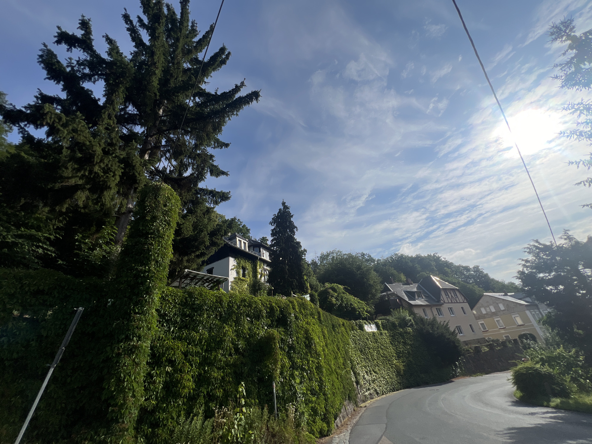 A sunlit, upward-angled, wide-angle view captures a winding asphalt road curving to the right, bordered by a dense, verdant green ivy-covered retaining wall on the left. Above the wall, several European-style houses with pitched roofs and windows are visible, nestled amongst lush green trees on a hillside. The sky is a bright blue, streaked with wispy white clouds, and the sun shines brightly, creating lens flare and casting a strong glare on the right side of the frame. Power lines are visible crossing the sky. The scene appears to be set in a residential area on a slope. The location is the Poisental district of Freital, Germany, specifically near the top of the Poisental slope.