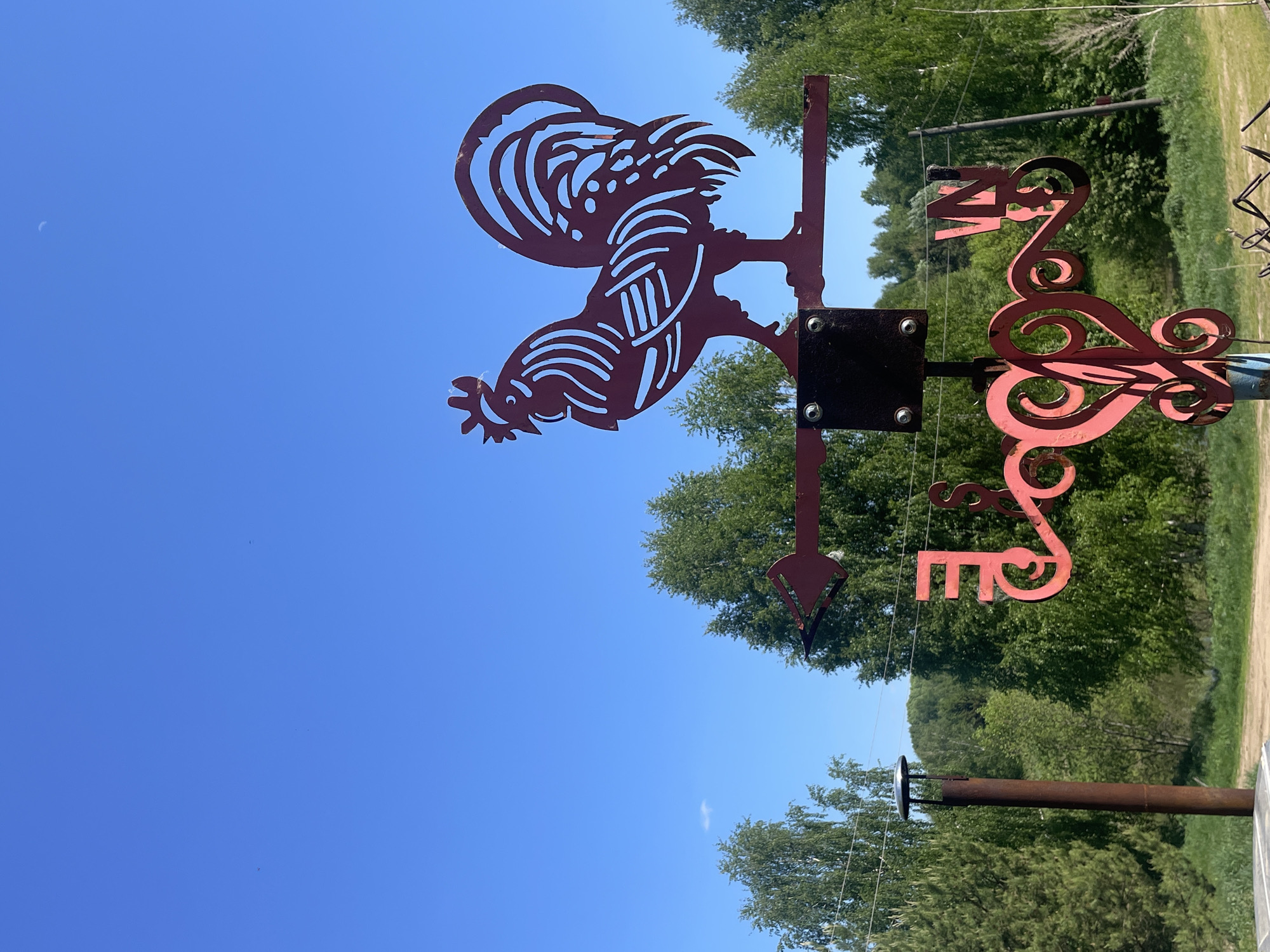 A weather vane, featuring a rooster and directional indicators, is set against a blue sky and trees. The location is Stepanovo, Russia.