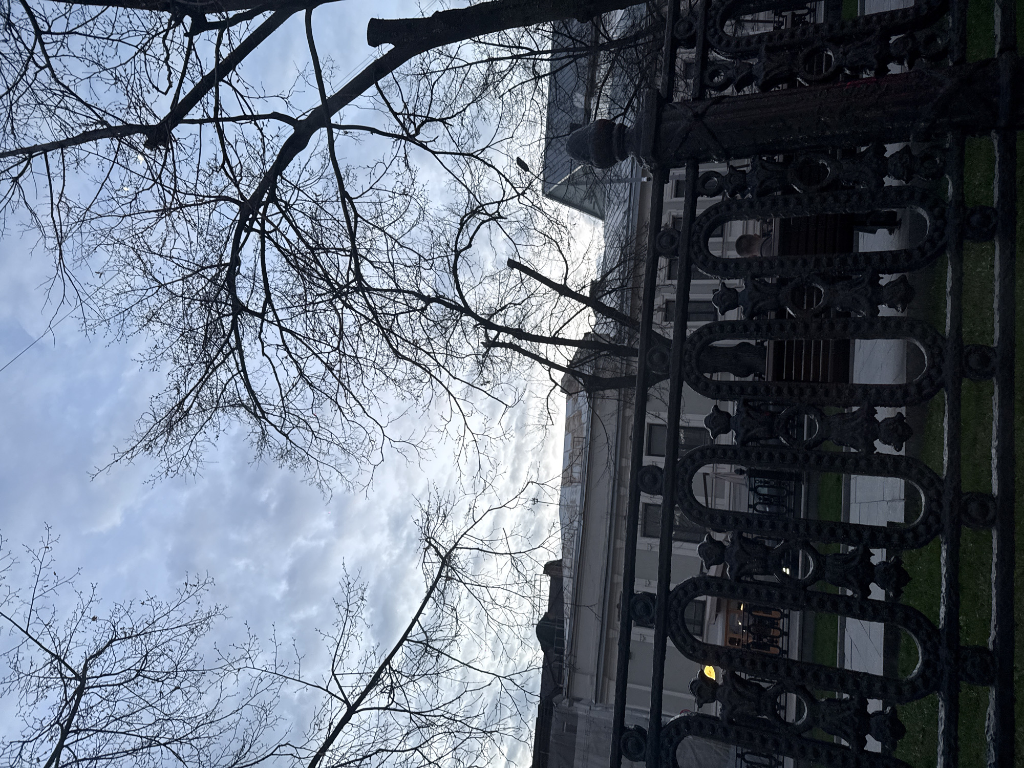 An outdoor shot taken at a low angle features leafless trees and an ornate wrought iron fence in the foreground against a cloudy sky and a building. The scene is situated in Moscow, Russia. The branches of the bare trees reach towards the sky, contrasting with the overcast weather. The fence appears to be bordering a public area. The building seems to be of historical significance, with multiple windows and classical architectural features.
