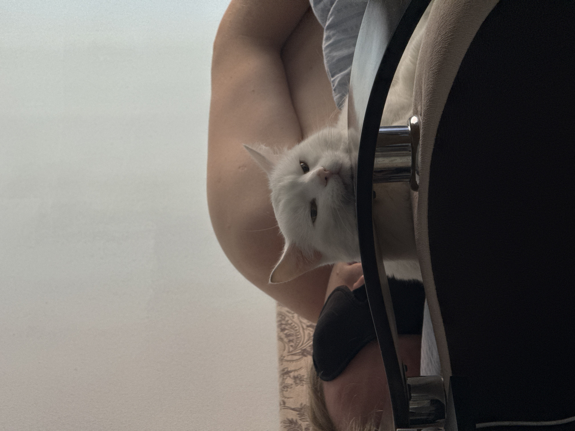A white cat is lying next to a person wearing a black sleep mask and sitting in a chair. The background is a white wall. The location is unknown and cannot be determined from the image.