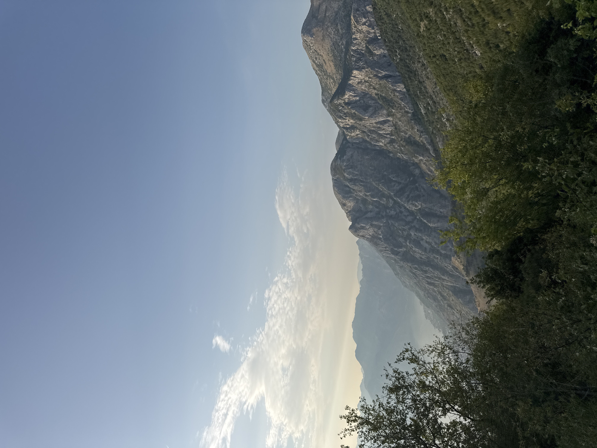 The image captures a scenic mountain landscape in the vicinity of Žanjev Do, Montenegro. The foreground is dominated by lush green trees and foliage, obscuring a portion of the view. Beyond the trees, rugged, steep mountains rise, their rocky surfaces textured and layered. In the distance, a hazy expanse suggests a body of water, possibly the Bay of Kotor, and a further range of mountains fades into the atmospheric perspective. The sky above is a clear, pale blue, with wispy white clouds scattered near the horizon, hinting at either sunrise or sunset. There are no people or man-made structures visible in the frame.
