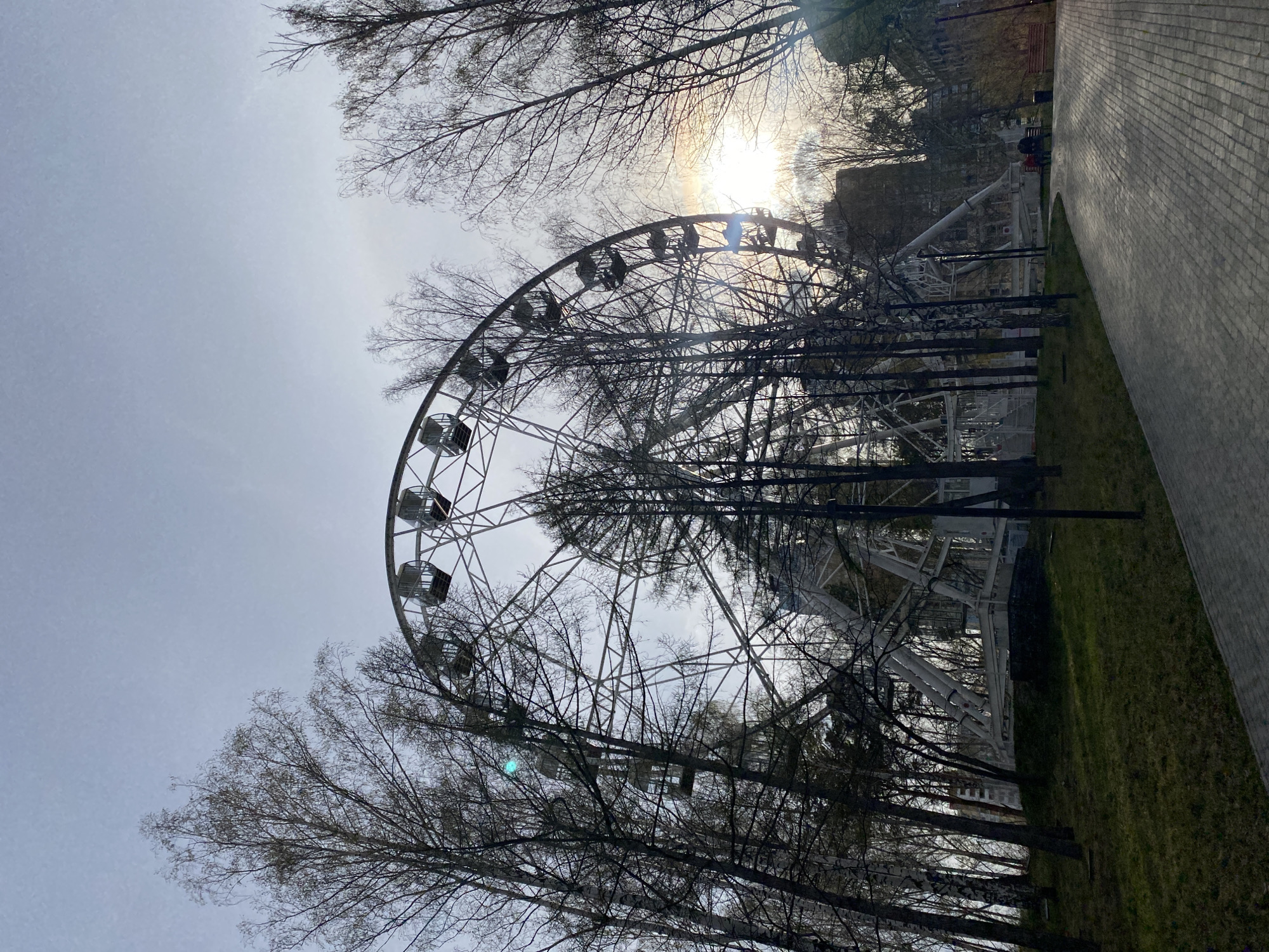 An upward-looking view captures a large Ferris wheel in an amusement park in Yekaterinburg, Russia. The sun, bright and partially obscured by light clouds, breaks through the upper portion of the Ferris wheel and bare tree branches, creating a strong lens flare and a soft halo in the overcast sky.
The Ferris wheel, constructed from light-colored metal, features multiple gondolas and its complex structural supports are silhouetted against the bright sky. Numerous deciduous trees, devoid of leaves, frame the wheel, their dark, intricate branches dominating the foreground and midground. The presence of bare trees indicates a late autumn, winter, or early spring setting.
To the right, a wide pathway paved with light-colored bricks curves into the distance, bordered by a strip of green grass. In the background, other amusement park structures and distant buildings are faintly visible through the trees and behind the Ferris wheel. The scene appears serene, with no people visible. There is no discernible text in the image.
