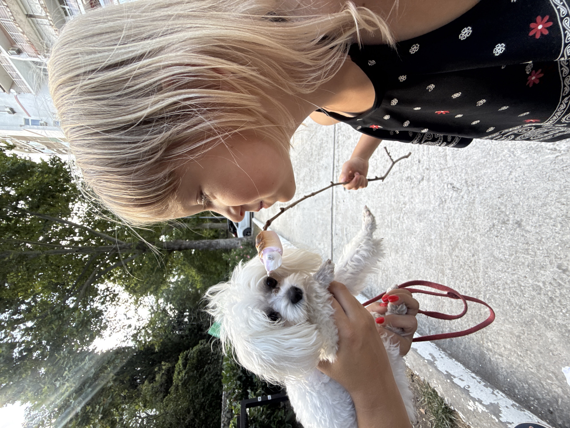 In Partenit, Ukraine, a blond-haired child with fair skin is positioned in profile, facing left, with their mouth slightly open, as if about to interact with a small white dog. The child holds a thin stick with a roasted marshmallow on its end. The dog, held by an unseen person whose hands and red-nailed fingers are visible, is also facing the child. The dog has a green bow on its head and a red leash. The setting appears to be outdoors, with a paved walkway, greenery, and a multi-story building in the background. The sun casts light through trees, creating a dappled effect on the ground.