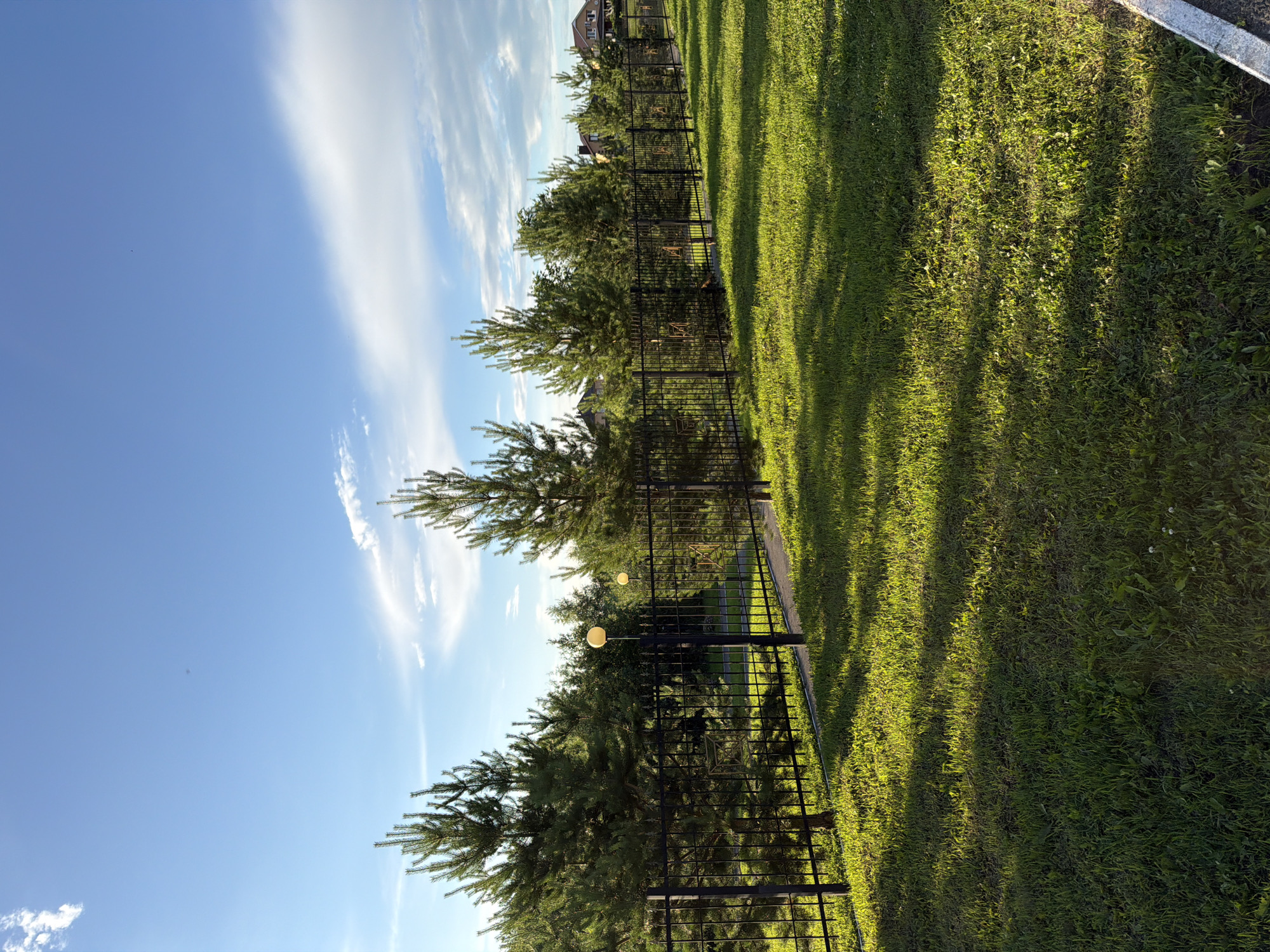 This image captures a sunlit grassy area bordered by a black metal fence. Several conifer trees are visible behind the fence, with some houses and more trees in the distance. The sky is blue with scattered white clouds, and shadows from the trees are cast across the lawn. The scene appears to be an outdoor residential setting in the village of Shmidtovo, Russia, likely during daytime. There are no people or animals visible in the image.