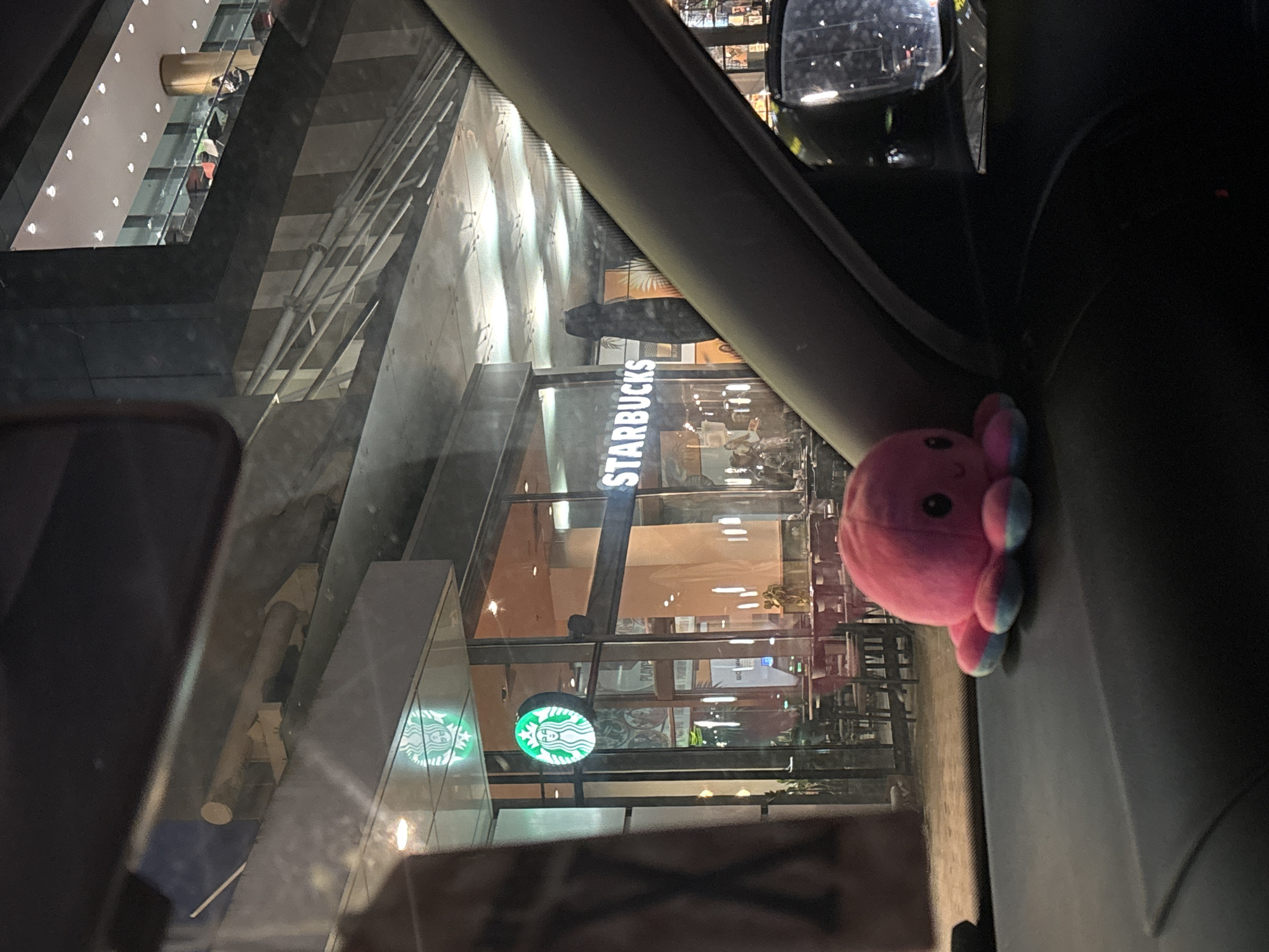 View from inside a car at night towards a Starbucks store in Burgas, Bulgaria. The Starbucks logo and signage are visible. A pink octopus plush toy is on the dashboard. The buildings in the background appear multi-storied with visible lighting. There are chairs and tables inside the Starbucks.