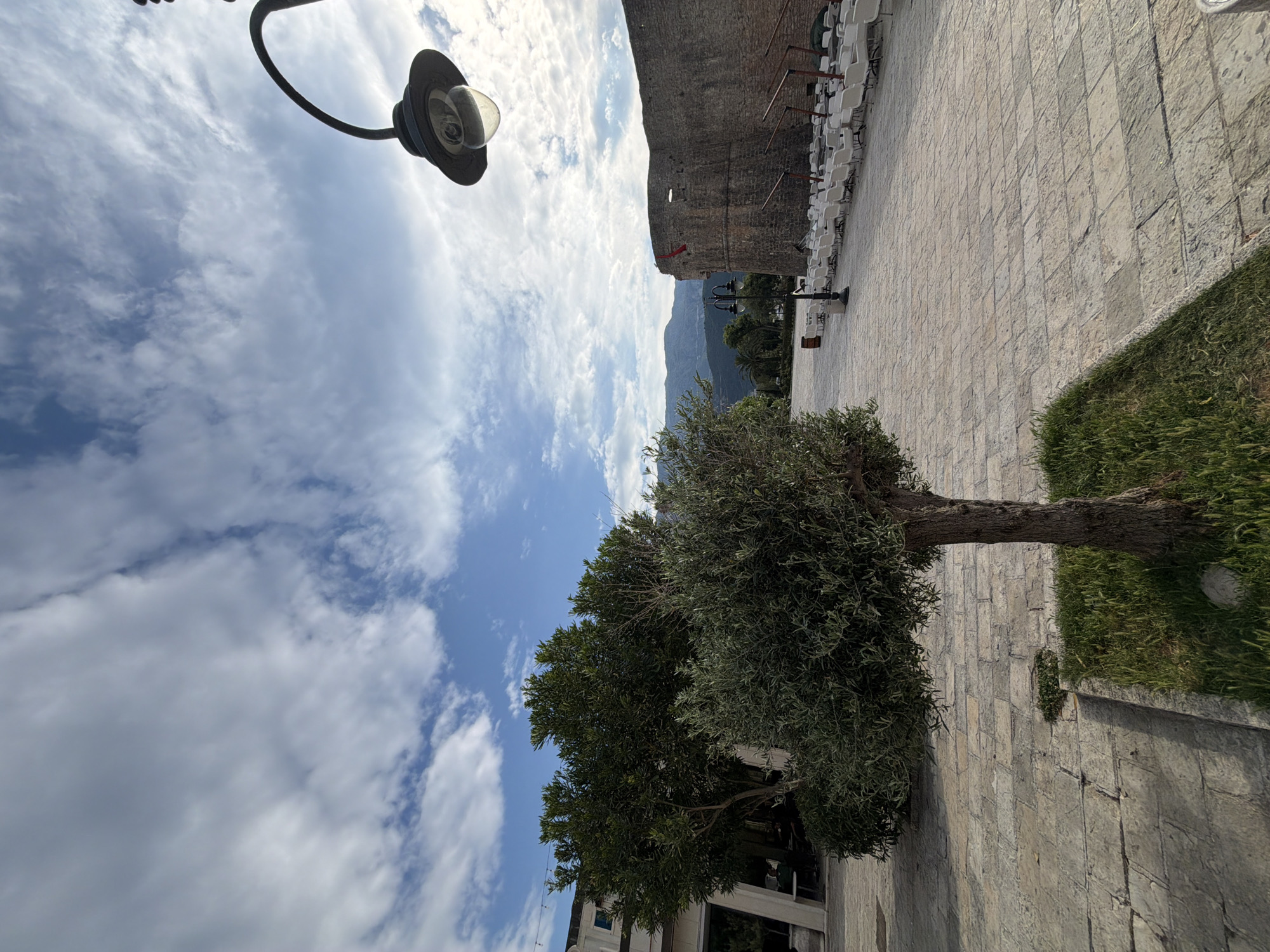 The image is an outdoor scene in Budva, Montenegro. A cobblestone plaza is visible, adjacent to a grassy area. A mature tree is centrally located, its trunk extending horizontally. In the background, there is a stone wall with rows of white folding chairs lined up against it. Mountains are visible in the distance. A street lamp is in the upper left corner. The sky is partly cloudy.