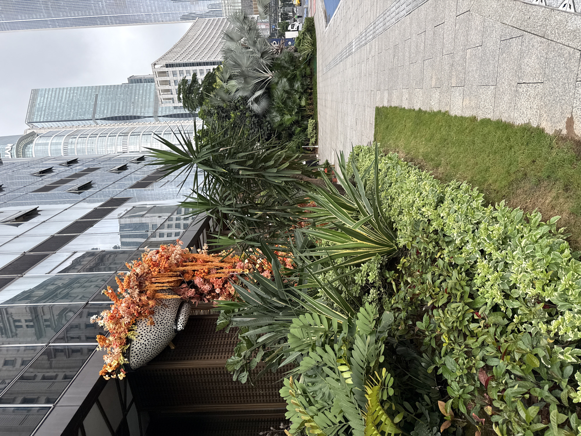The image captures a vibrant outdoor scene in Tianhe District, China, dominated by lush greenery and modern architecture. In the foreground, a dense arrangement of diverse plants, including various shades of green leaves and variegated foliage, forms a living border. A strip of well-maintained grass separates the plants from a paved walkway constructed of grey rectangular tiles.
Further back, the scene opens up to reveal the striking facade of a contemporary building with numerous glass windows, reflecting the sky and surrounding structures. An eye-catching floral arrangement, bursting with orange and coral-colored blooms and cascading orange tendrils, is prominently displayed, mounted on a white, spotted planter. Behind this, a cluster of palm trees, including a large fan palm with silvery-grey fronds, adds a tropical element to the urban landscape. In the background, several towering skyscrapers, characteristic of a bustling city center, pierce the overcast sky. A glimpse of a street with a yellow taxi and a white vehicle suggests the presence of traffic. The overall impression is one of a harmoniously integrated urban green space within a dynamic cityscape.