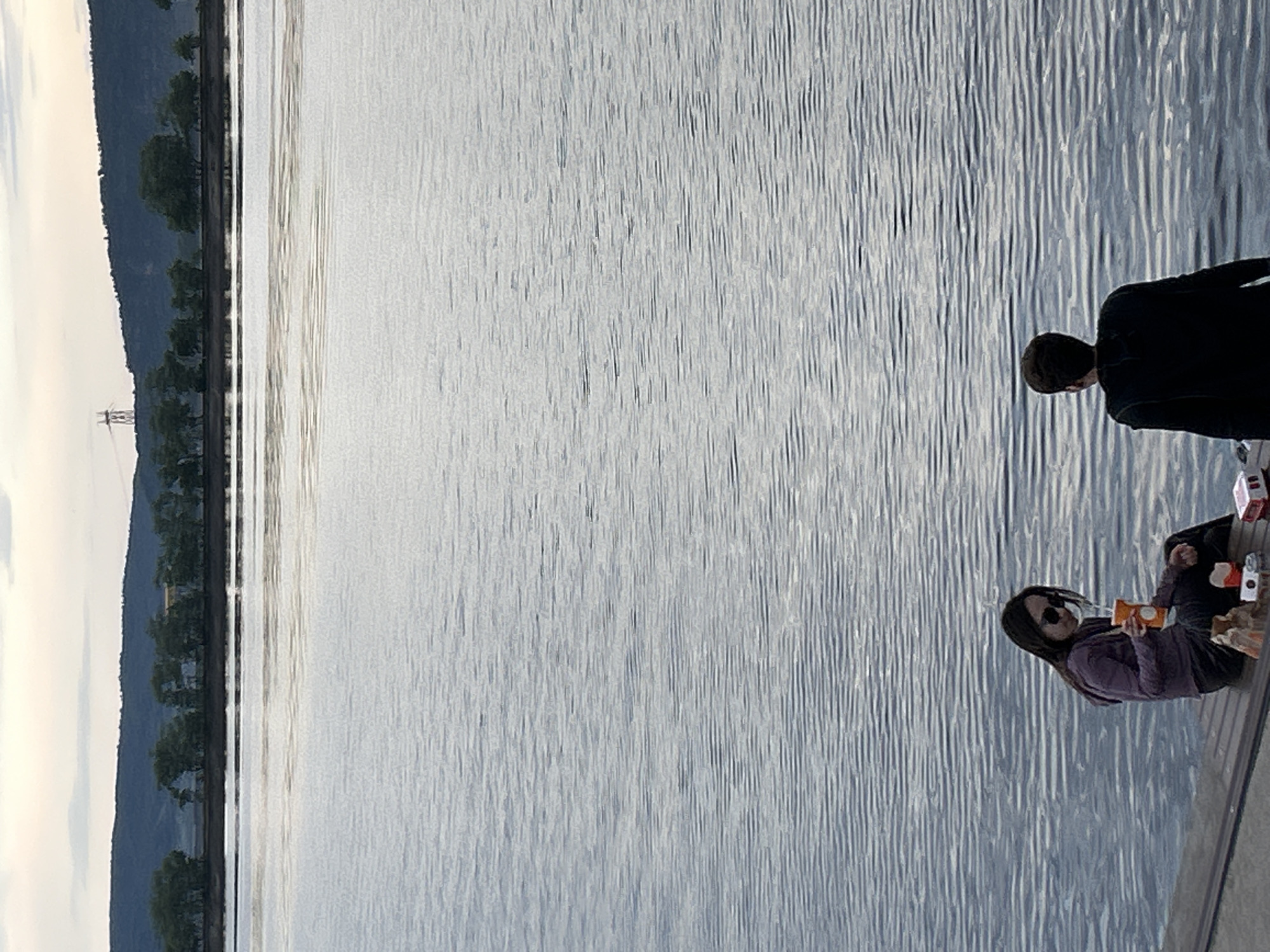 This media file shows a landscape scene with two people near a body of water. The left side of the image features a steep, tree-covered hillside with a faint power line structure visible. The rest of the image is dominated by the textured surface of a large body of water, likely a lake or river, with ripples reflecting the light.
Two individuals are positioned on a wooden deck or pier in the lower right portion of the frame. The person closest to the camera is a woman wearing sunglasses, a dark top, and dark pants, and she is holding an orange container. Next to her, another person, whose gender is not clearly discernible due to their clothing and the angle, is wearing a dark top. They appear to be relaxing or observing the water.
The overall lighting suggests it might be late afternoon or early evening, with a soft, diffused light. The sky on the far left appears overcast or hazy. The scene conveys a sense of calm and leisure, with the individuals enjoying the waterfront. No visible text is present in the image. The location context of Tolyatti, Russia, suggests this could be a view of the Kuybyshev Reservoir.