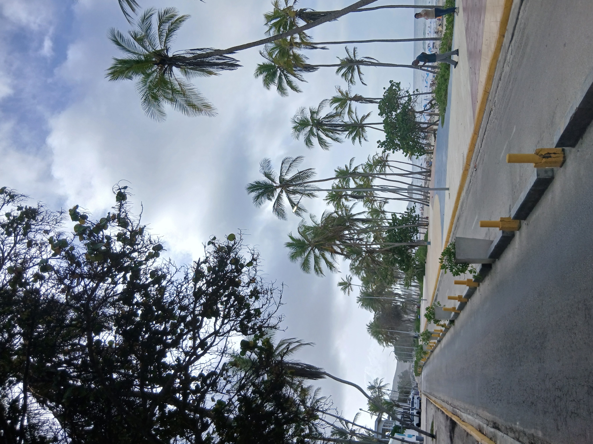 The image shows a coastal road in Playa El Agua, Venezuela. On the left, a dark, leafy tree branches over the road. The road itself is paved and empty except for a few parked cars in the distance. Along the right side of the road is a sidewalk with yellow bollards and planters. Beyond the sidewalk is a beach with palm trees, beach umbrellas, and people. The sky is overcast. In the foreground of the sidewalk, two people are walking. One person, a man in a blue shirt and grey pants, is looking at his phone. The other person, a woman in a beige shirt and blue jeans, is standing and looking out at the ocean. The ocean is visible in the background, with waves gently lapping the shore. The overall atmosphere is tranquil and suggests a typical day at the beach.