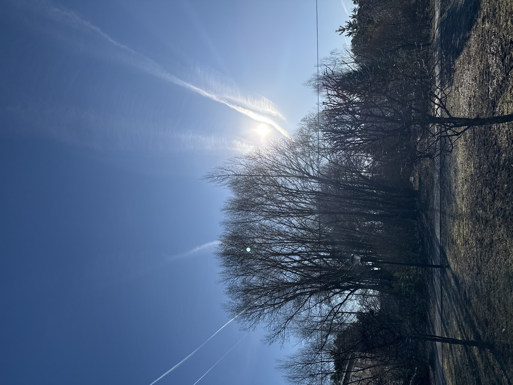 The image shows a view of a park-like area on a sunny day in Unknown, Unknown. The sky is bright blue with several contrails from airplanes streaking across. The sun is visible through the contrails and is partially obscured by thin clouds. In the foreground, there are trees without leaves, suggesting it is late fall or winter. The ground is covered with dry grass and leaves. A path or road runs along the side of the trees. A streetlight is visible near the tree line.