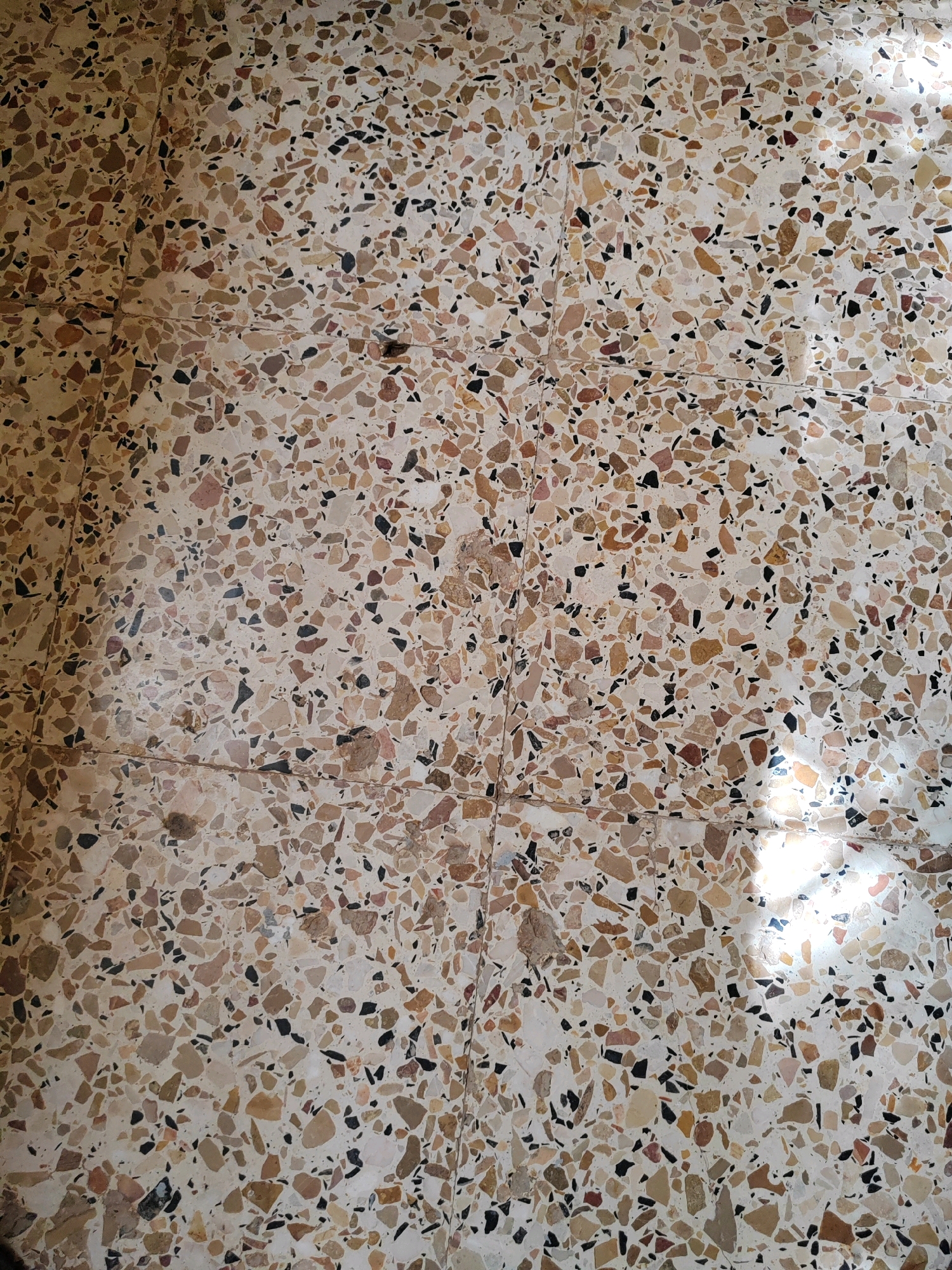 The image shows a close-up, overhead view of a terrazzo floor in Mougheul, Algeria. The floor is composed of light-colored cement mixed with various irregularly shaped chips of stone in shades of white, beige, brown, black, and reddish-pink. The chips are small to medium in size and are distributed unevenly across the surface. The floor appears to be laid in large square tiles, demarcated by thin grout lines, some of which are visible. There are two distinct patches of bright sunlight on the floor, casting highlights and creating some glare, particularly in the upper right quadrant of the image. No people or other objects are visible in the frame. The overall impression is one of a durable, decorative flooring material.