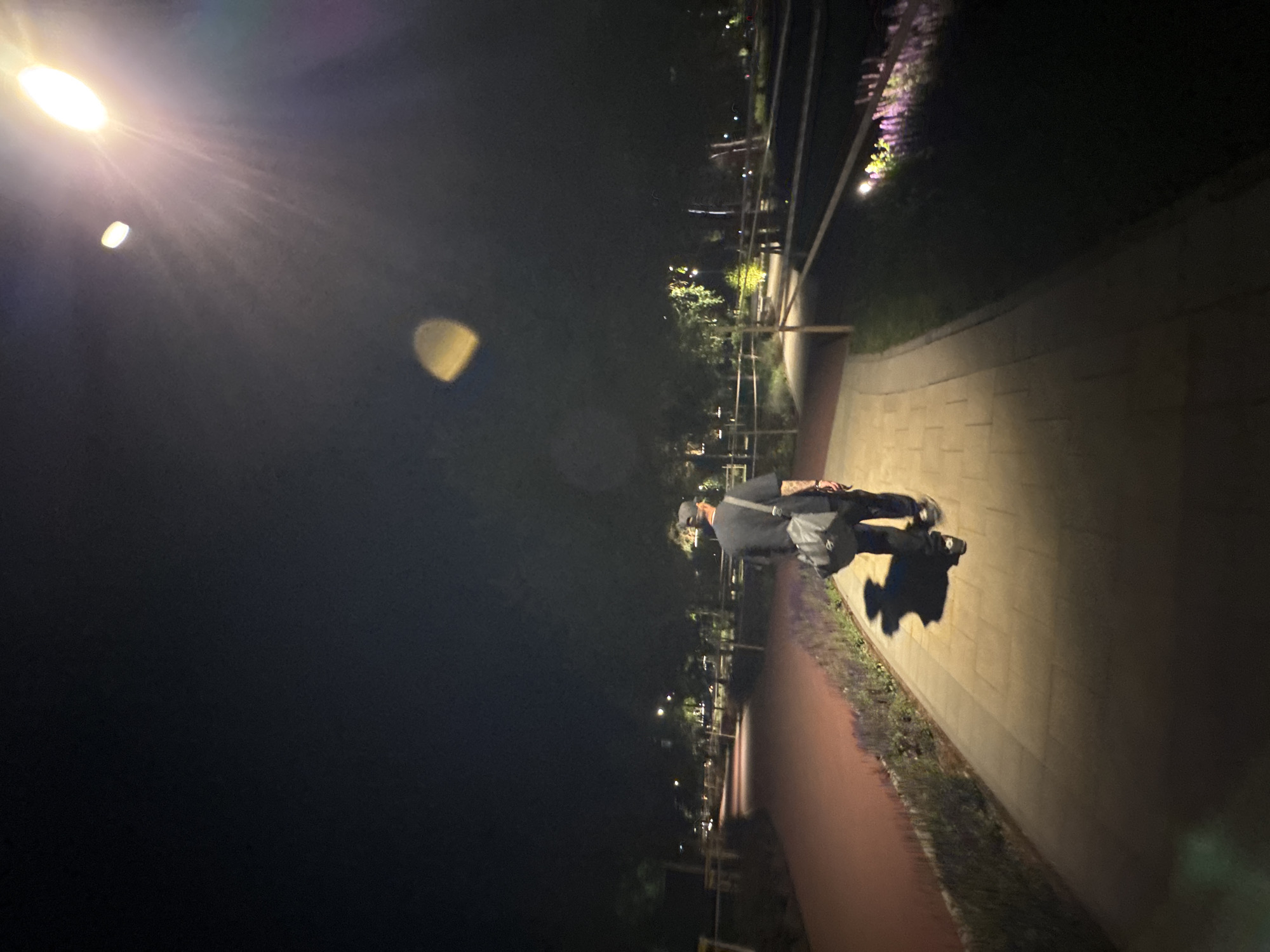 A person is walking along a paved pathway in a park at night. The person is wearing a dark t-shirt, dark pants, and a baseball cap. They are carrying a messenger bag over their left shoulder. The pathway is illuminated by overhead lights and some ground-level lighting. To the left of the pathway is a red-colored track. To the right, there are trees and some low-lying purple flowers. The sky is dark, and a bright light source, likely a streetlamp, is visible in the upper right corner, creating lens flare and reflections in the image. The scene is likely located in a park within the city of Almaty, Kazakhstan, given the context of the query.