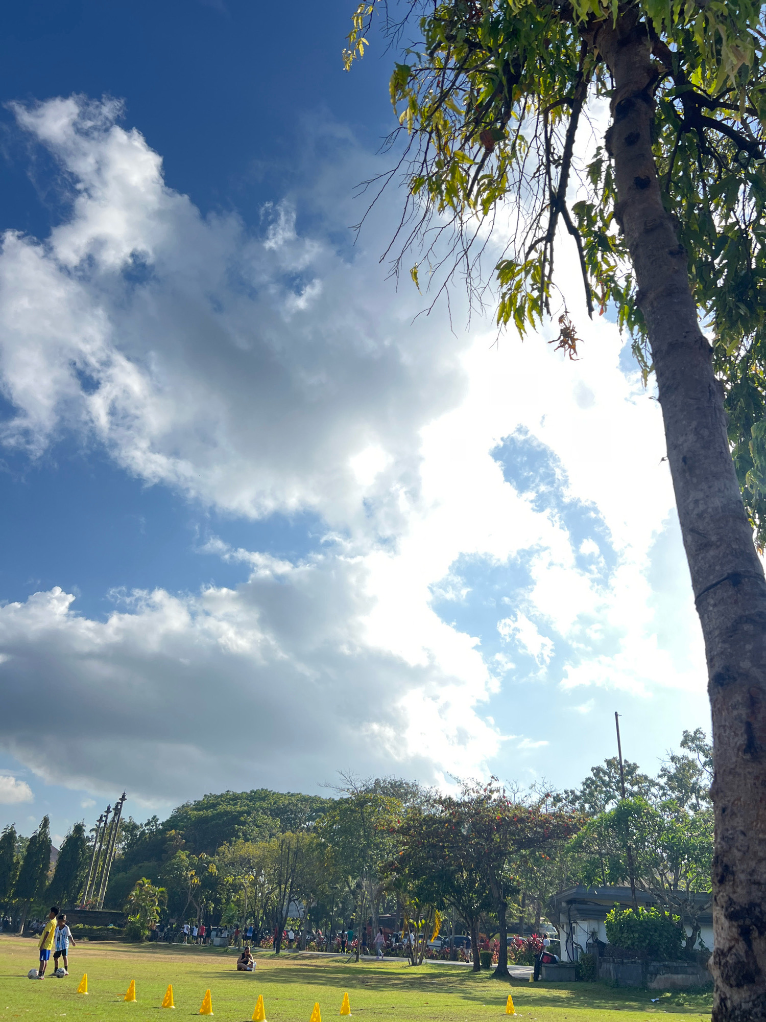 This image depicts a sunny day at a park, likely a sports field, in Denpasar, Indonesia. The sky is a vibrant blue with scattered white clouds, and the sun is shining brightly, creating some lens flare. In the foreground, a large tree trunk with rough bark and green leaves on its branches dominates the right side of the frame. The ground is covered in lush green grass, and several yellow traffic cones are spaced out, suggesting a training or practice area.
In the midground, several people are visible. Two young boys in athletic wear are standing on the grass, one with a soccer ball at his feet. In the background, more individuals are gathered, some appear to be watching or participating in activities. A row of tall, slender trees with conical shapes lines the left side of the park, with a distinct monument or structure behind them. Further back, a dense area of trees forms a green backdrop, and a small white building with a dark roof is situated within the foliage. The overall atmosphere is one of a recreational outdoor space being utilized on a clear day.