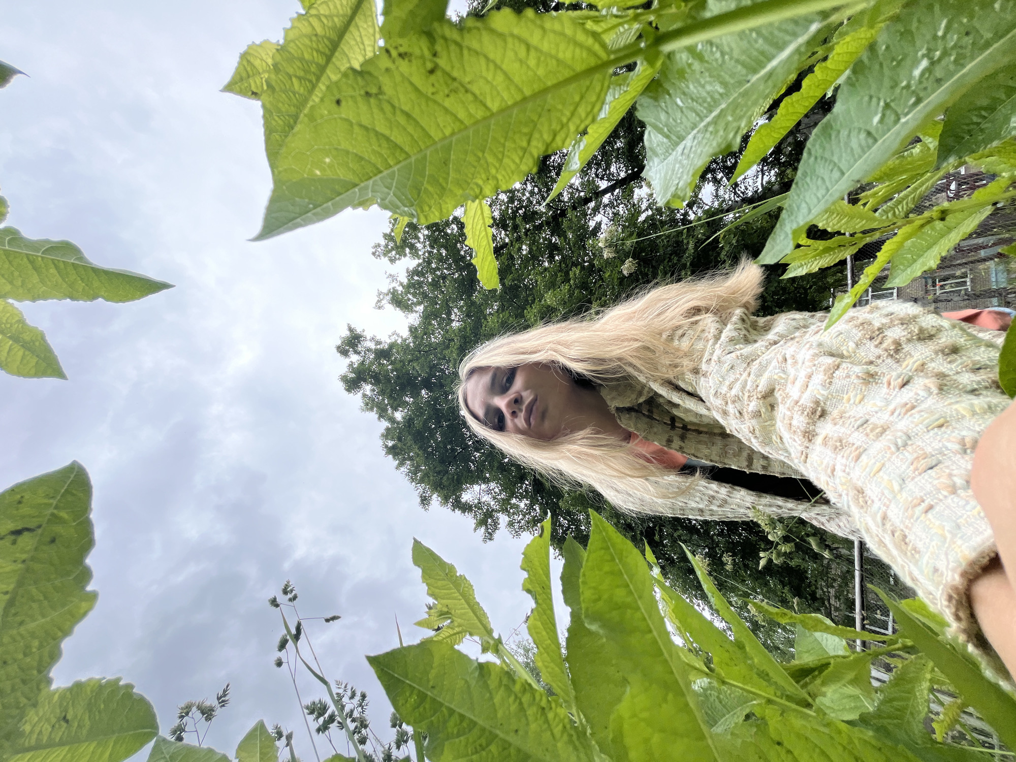 A low-angle, upward-looking shot captures a young woman framed by dense green foliage, likely in Chaikovsky, Russia. The woman, with long blonde hair, is positioned in the upper center of the frame, looking down towards the camera with a neutral expression. She wears a textured, light-colored jacket or sweater, possibly in shades of cream, beige, and light green.
The foreground is dominated by large, vibrant green leaves and some taller blades of grass or weeds, creating a natural, bushy enclosure around the subject. The sky, visible between the leaves and above the woman, is overcast with soft gray clouds, indicating daytime on a cloudy day. In the mid-ground and background, dark green tree canopies are visible, suggesting an outdoor park, garden, or natural area. A subtle hint of a man-made structure, possibly a fence or building, can be discerned through the leaves on the far right side of the image.
The overall impression is an intimate, nature-focused portrait. No text is visible in the image.