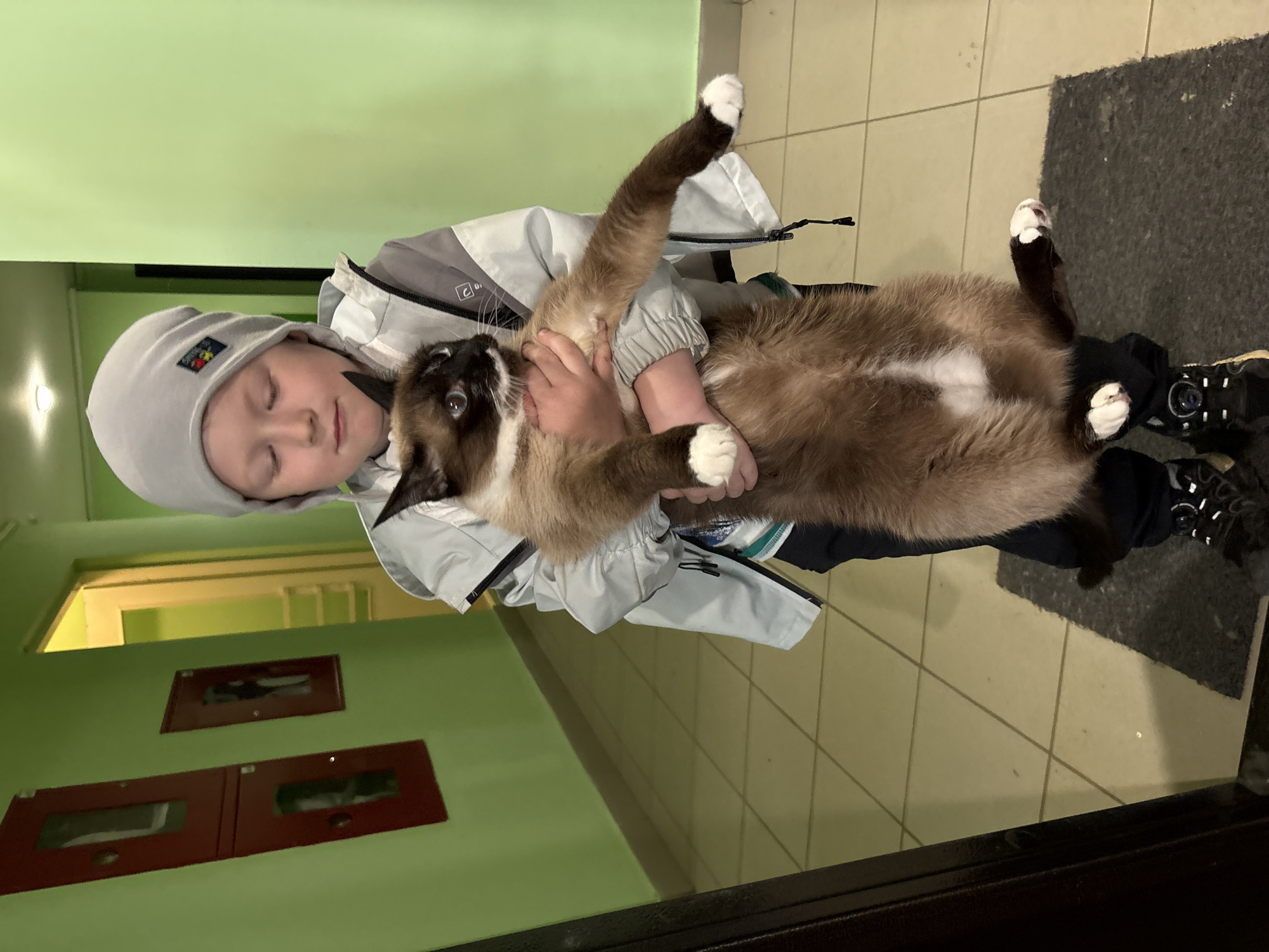 A child in a gray hat and gray jacket is holding a tan and brown cat with white paws in a hallway. The cat is on its back with its legs extended. The hallway has green walls and tan tile floors. There are red-framed objects on the wall. There is a gray mat on the floor. Based on the common Soviet-era construction and the green and tan color scheme, the location is likely a residential building in Izhevsk, Russia.