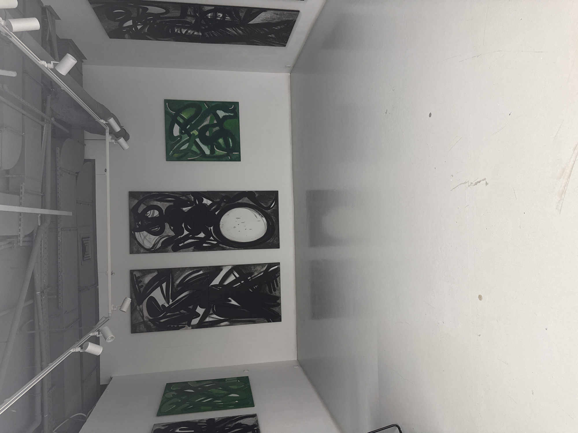 The image shows an interior space, likely an art gallery, with white walls and a track lighting system on the ceiling. There are several paintings displayed on the wall. Two of them feature abstract green patterns, while the others are black and white abstract designs. One of the black and white paintings includes a prominent circular shape. The space appears clean and well-lit. The city of Moscow, Russia is not discernible from the image.