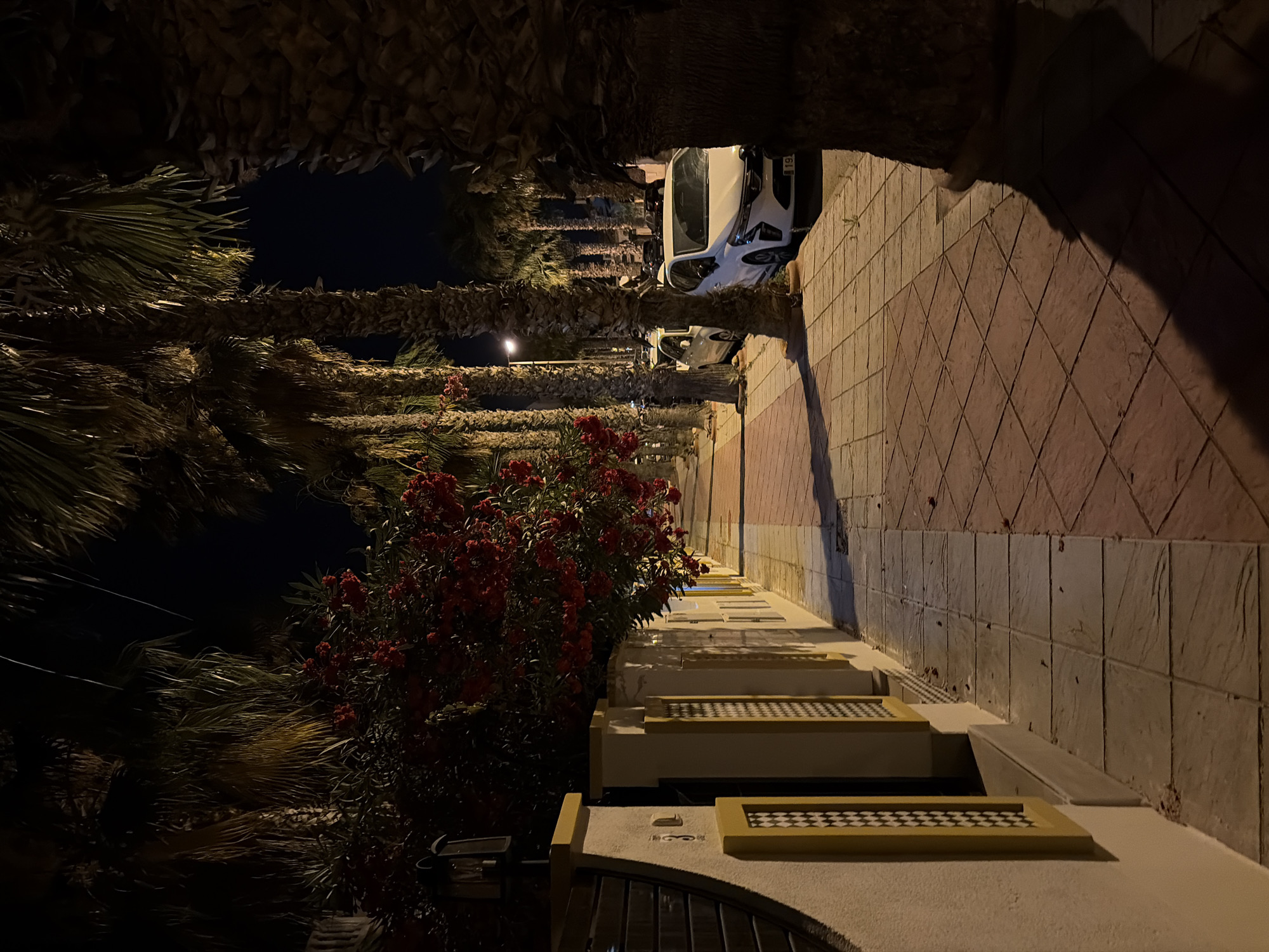 This image depicts a sidewalk scene at night in Orihuela, Spain. The foreground features a tiled sidewalk with alternating lighter and darker colored square tiles, bordered by a section of reddish-brown diamond-patterned tiles. To the left, a low wall runs along the sidewalk, with a cream-colored surface and yellow accents. A black gate with horizontal slats is visible on the wall. Above the wall, a dense bush with bright red flowers overhangs the sidewalk.
Palm trees with rough, textured trunks line the right side of the sidewalk, their fronds creating a dark canopy against the night sky. In the middle ground, parked cars are visible along the street adjacent to the sidewalk. A white hatchback car is prominently positioned on the right side of the image. The overall lighting suggests artificial illumination from streetlights or nearby buildings, casting shadows across the scene. The scene is devoid of any visible human presence or activity.