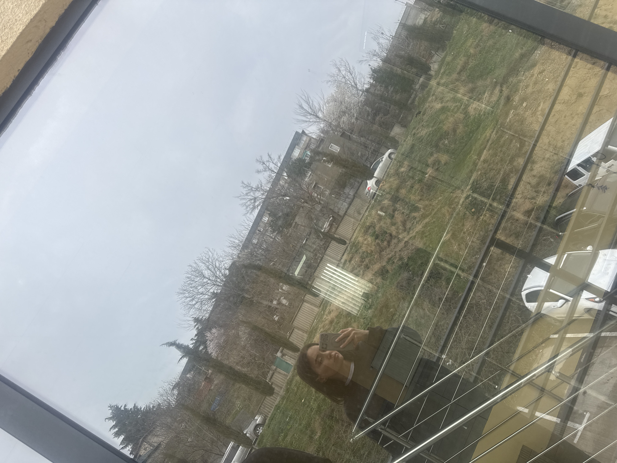 The image captures an outdoor urban landscape in Tbilisi, Georgia, viewed through a window, prominently featuring a reflection. The sky is overcast and light grey. The foreground of the outdoor scene consists of a sloped, grassy hillside with patches of bare earth and dry vegetation. Numerous trees, many deciduous and bare, along with some evergreen conifers, are scattered across the landscape. A few trees exhibit light-colored blossoms, indicative of early spring.
Multi-story residential buildings, consistent with Soviet-era architectural styles, are visible on the hillside and in the distance. A silver or white SUV is parked or driving on an elevated road near the top of the hill. Another silver or white passenger car is visible further down the slope. Various fences, including a dark corrugated metal fence and other opaque barriers, delineate properties.
Reflected in the window, centrally located on the left, is a female individual with dark hair, appearing to be an adult, holding a light-colored smartphone with a dark case to her face, actively taking a selfie. She is wearing a dark outer garment over a lighter-colored shirt. A metallic balustrade or railing system is clearly reflected in the lower portion of the image, indicating an interior balcony or viewing area. A partial, dark silhouette of another individual is also reflected on the far left edge of the window.