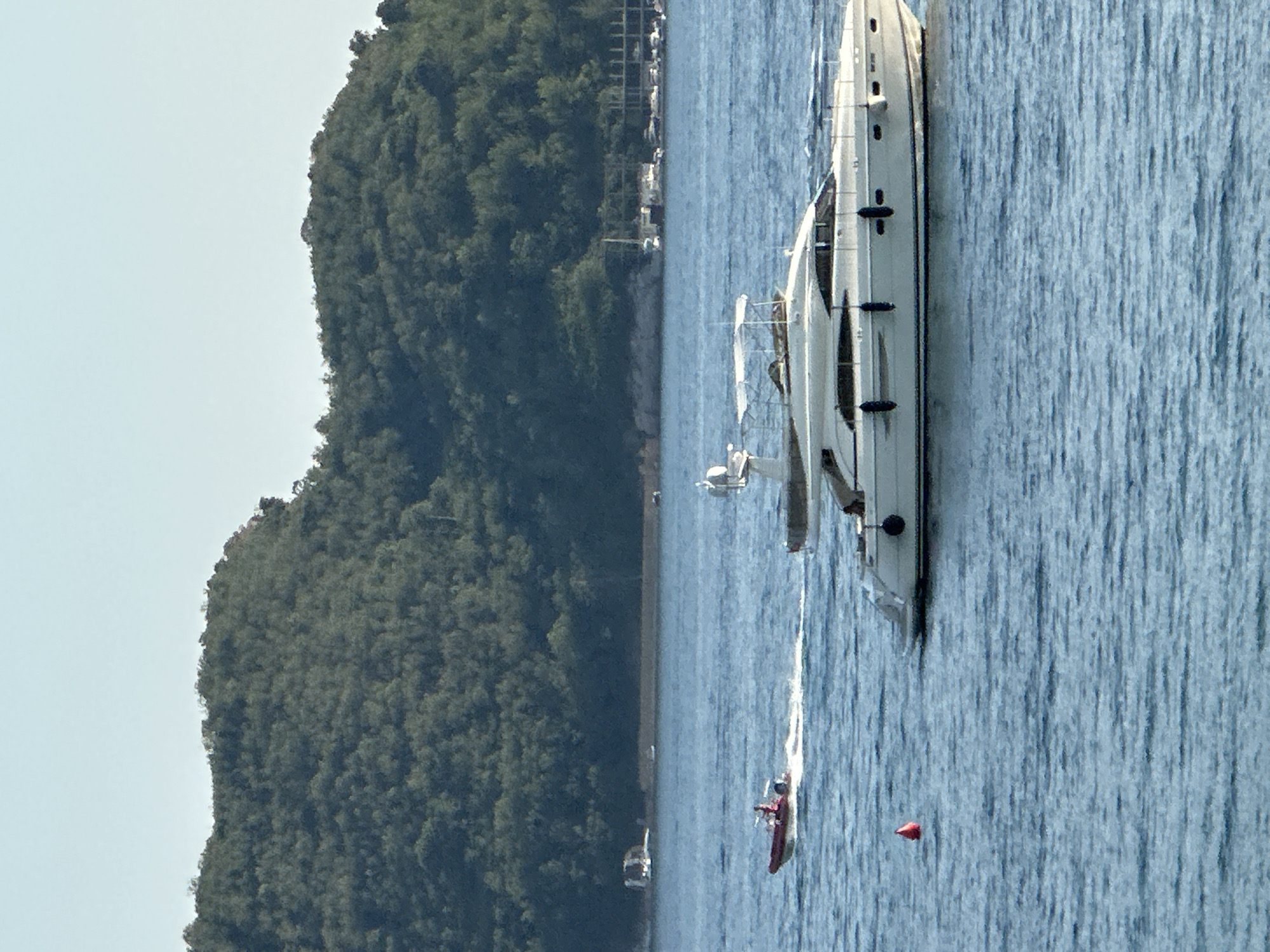 The image captures a serene coastal scene, likely near Budva, Montenegro, under a clear sky. In the foreground, a large, white luxury yacht with a Bimini top is anchored in calm blue waters. Its sleek design and multiple windows suggest a high-end vessel. To the left of the yacht, a small, red speed boat with two individuals on board is moving across the water, leaving a wake. A red buoy floats in the water between the speed boat and the yacht.
In the midground, a densely forested, green hillside rises from the coastline, with the tops of trees creating a textured, undulating horizon. The foliage appears lush and vibrant. Further in the distance, along the coastline, structures and what appear to be other boats or a marina are visible, hinting at the presence of a settlement or developed area. The overall environment is one of natural beauty combined with maritime activity.