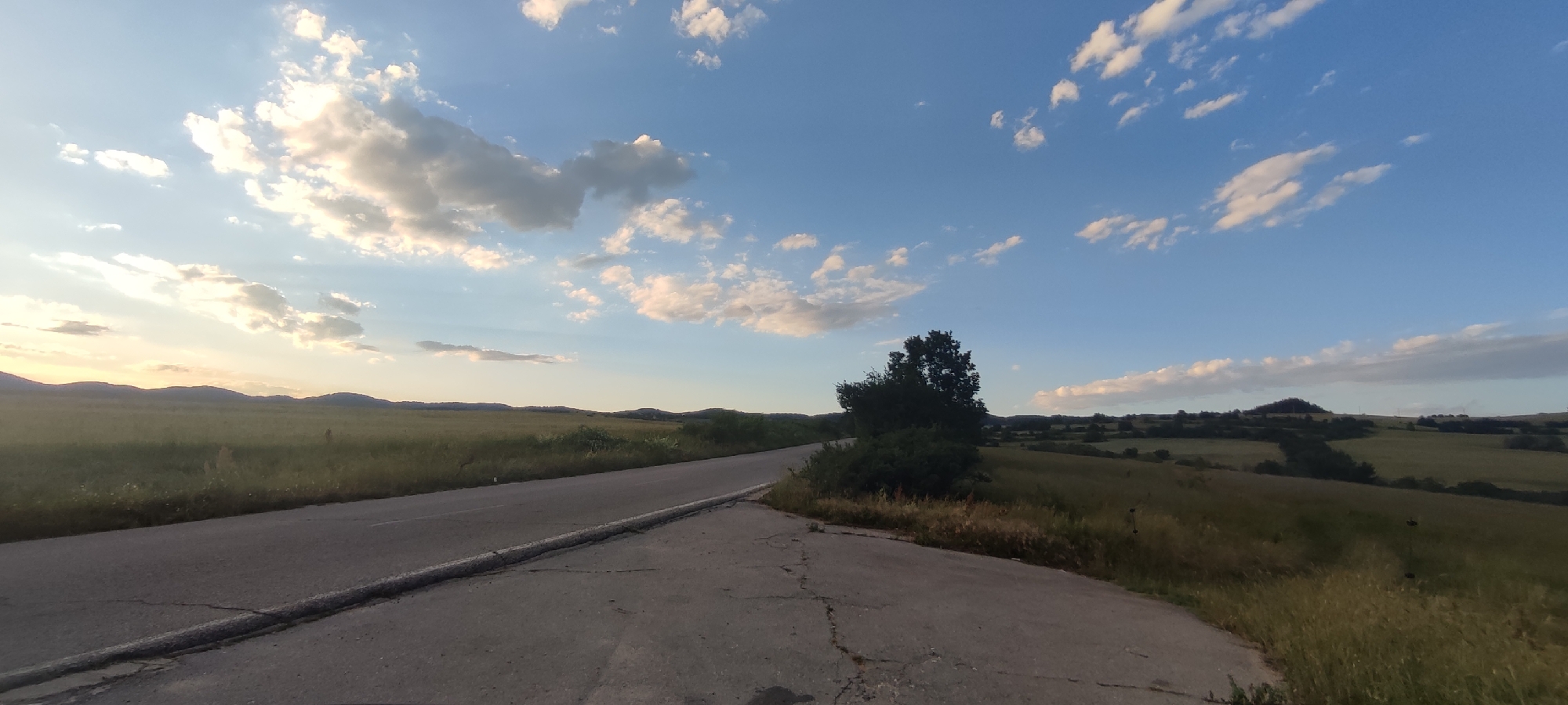 The image depicts a rural landscape in the vicinity of Momin Prohod, Bulgaria, under a partially cloudy blue sky, likely during the late afternoon or early evening given the lighting. In the foreground, a paved road curves from the lower left towards the right. The road surface shows signs of wear and cracking. To the right of the road, a patch of concrete or rough ground extends, with dried grass and vegetation growing along its edge. A lone, mature tree with dense foliage stands prominently on a slight incline to the right of the road, bordered by overgrown bushes and tall grasses. Beyond the road and the tree, the landscape unfolds into rolling hills covered with fields of grass and scattered clusters of trees. In the far distance, a range of low, undulating hills forms the horizon, with a prominent, tree-covered hill in the center-right of the frame. The overall impression is one of a quiet, undeveloped natural setting.