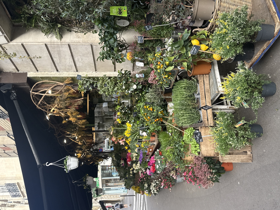 The image depicts the exterior of a flower shop, likely located in Paris, France, given the architectural style and the visible "PHARMACIE" sign in the background. The scene is dominated by a vibrant display of plants and flowers arranged on the sidewalk and beneath a dark retractable awning.
**Environment:**
The shop occupies the ground floor of a multi-story building constructed with light-colored stone, featuring decorative relief work on a column to the right. An upper floor with windows and iron railings is visible above the awning. The sidewalk, a light grey asphalt, is the foreground, and a crosswalk is partially visible on the left. In the blurred background, another storefront with a white sign reading "PHARMACIE" and a street with distant pedestrians are visible.
**Objects and Subjects:**
A wide variety of potted plants and flowers are meticulously arranged on tiered wooden crates, metal shelves, and directly on the pavement.
* **Plants:** Numerous flowering plants display pinks, purples, reds, whites, and bright yellow blooms (e.g., daffodils). Green foliage plants, including ivy and rosemary in grey pots, are prominent. Several small citrus trees, bearing bright orange kumquats and yellow lemons, are displayed in brown terracotta pots. Herbs like basil are visible in wooden crates with small chalkboards indicating prices (e.g., "Basilique 5,90€").
* **Shop Elements:** A dark blue or black retractable awning extends over the display. White hanging planters containing green plants are suspended from the awning's frame. Beneath the awning, dried botanical arrangements, possibly branches or grasses, hang as decorative elements. Small black chalkboard signs with white lettering indicate plant names and prices.
* **Containers:** Plants are held in various containers, including terracotta pots, grey plastic pots, woven baskets, and rustic wooden crates.
* **Background:** The "PHARMACIE" sign is white with dark lettering, positioned above a glass storefront.
* **People:** A single individual, a male in dark athletic wear, is seen walking away from the viewer on the distant sidewalk to the left. No other people are clearly visible interacting with the flower shop.
**Actions and Interactions:**
The primary action conveyed is the static display of merchandise by the flower shop, designed to attract passersby. There are no direct interactions between people and the shop or each other within the primary focus of the image. The arrangement suggests a retail environment.