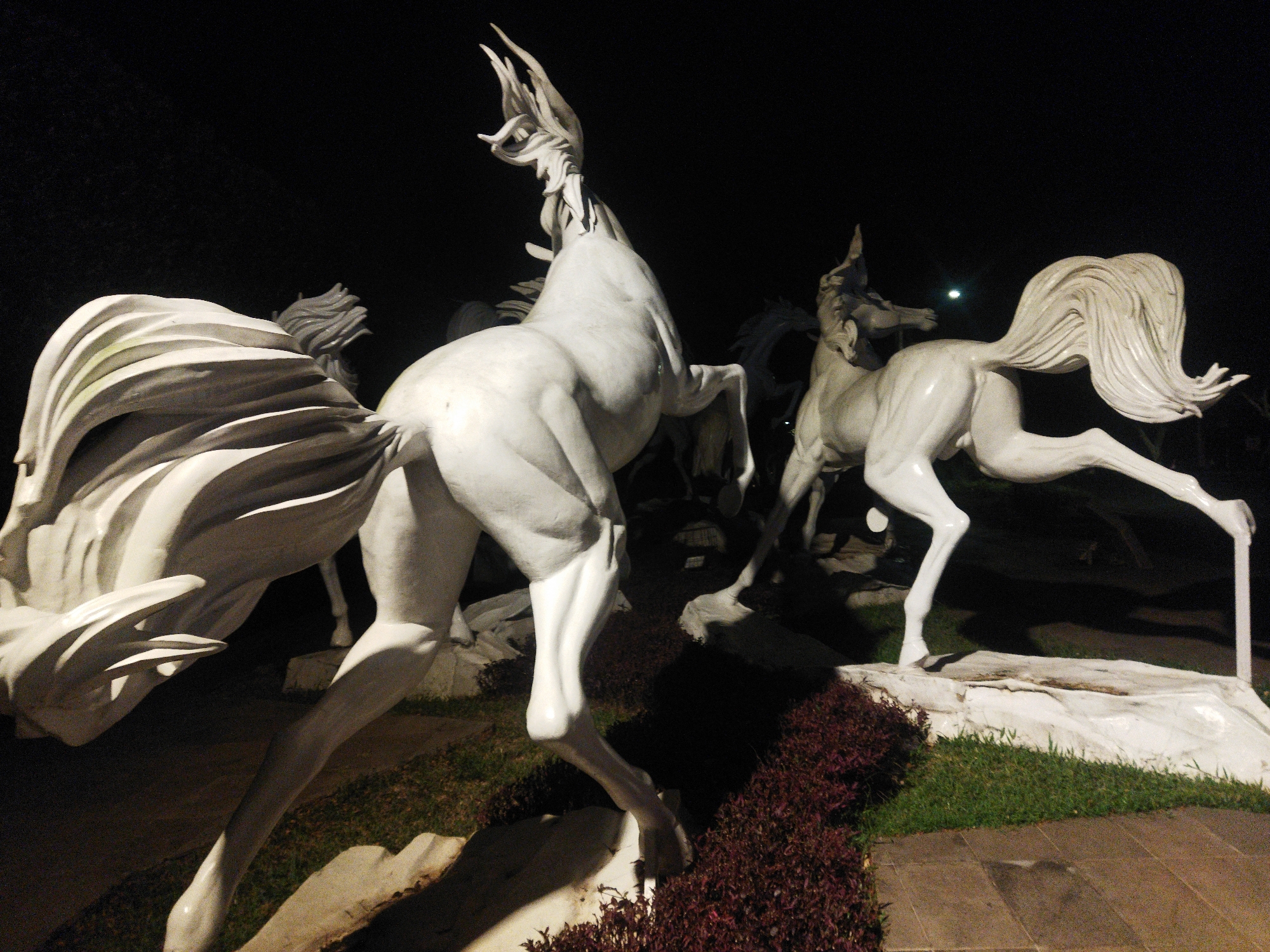 This photograph captures a nighttime view of a collection of white horse sculptures in Semarang, Indonesia, specifically at the "Kota Lama Semarang" (Old City of Semarang). The sculptures are arranged in a dynamic composition, appearing to be in mid-gallop or mid-air. The lighting is artificial, casting dramatic shadows and highlighting the smooth, glossy finish of the sculptures. The background is dark, suggesting the absence of natural light and emphasizing the illuminated sculptures. In the foreground, there is a patch of green grass and a darker area of reddish-purple foliage, bordered by a paved walkway. The sculptures themselves are depicted in various poses, with flowing manes and tails, conveying a sense of movement and power. One sculpture, in the foreground and to the left, has its tail sweeping upwards and outwards, creating a dramatic visual effect. Another sculpture, further back and to the right, is captured mid-stride, with its legs extended. The overall impression is one of an artistic display designed to be admired in the evening.