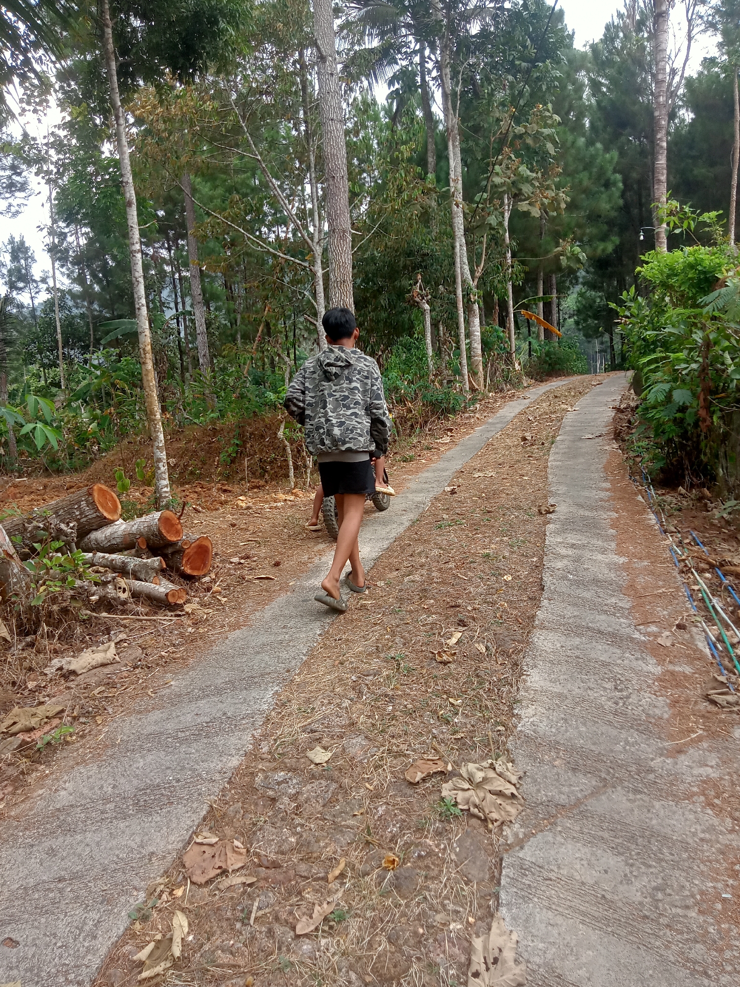In the city of Tanggaran, Indonesia, a young person walks on a concrete path in a wooded area. They are wearing a camouflage jacket, black shorts, and flip-flops. To their left, several logs are stacked on the side of the path. The path is flanked by dry leaves and sparse vegetation, with tall trees forming a dense canopy overhead. The scene appears to be a rural or semi-rural setting, possibly a logging area or a pathway through a forest.