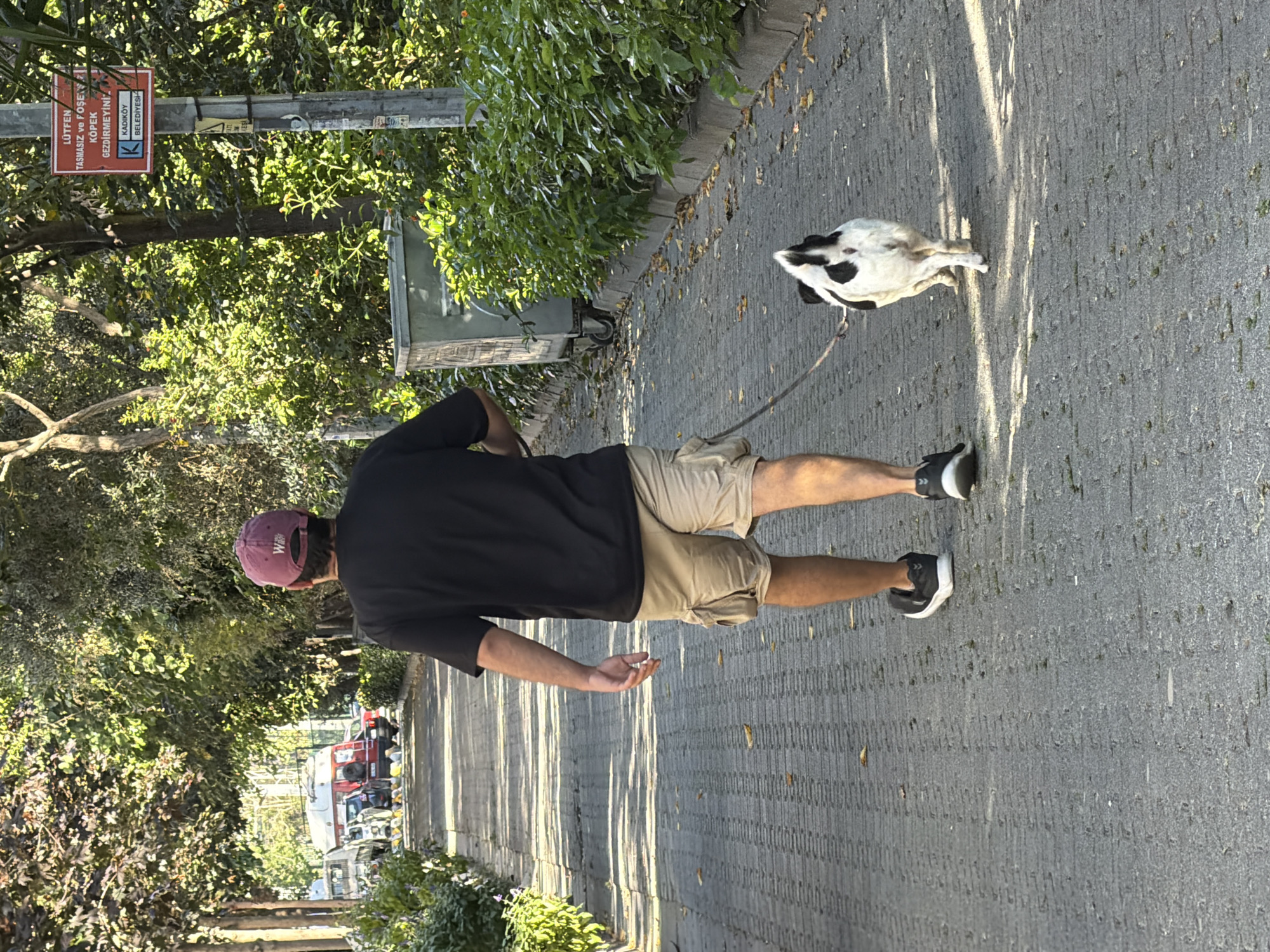 A man wearing a dark t-shirt, khaki cargo shorts, a maroon baseball cap, and black sneakers walks a black and white dog on a leash along a paved pathway lined with green bushes and trees. The path appears to be in a park or a tree-lined street. In the background, several vehicles are visible, including a red camper van. A metal trash bin is also present next to the bushes. A sign with Turkish writing and a red border is attached to a pole on the right side of the path. The sign appears to be a municipal notice. The scene is illuminated by sunlight, casting shadows on the ground, suggesting it is daytime. The location is identified as Kadıköy, Turkey.