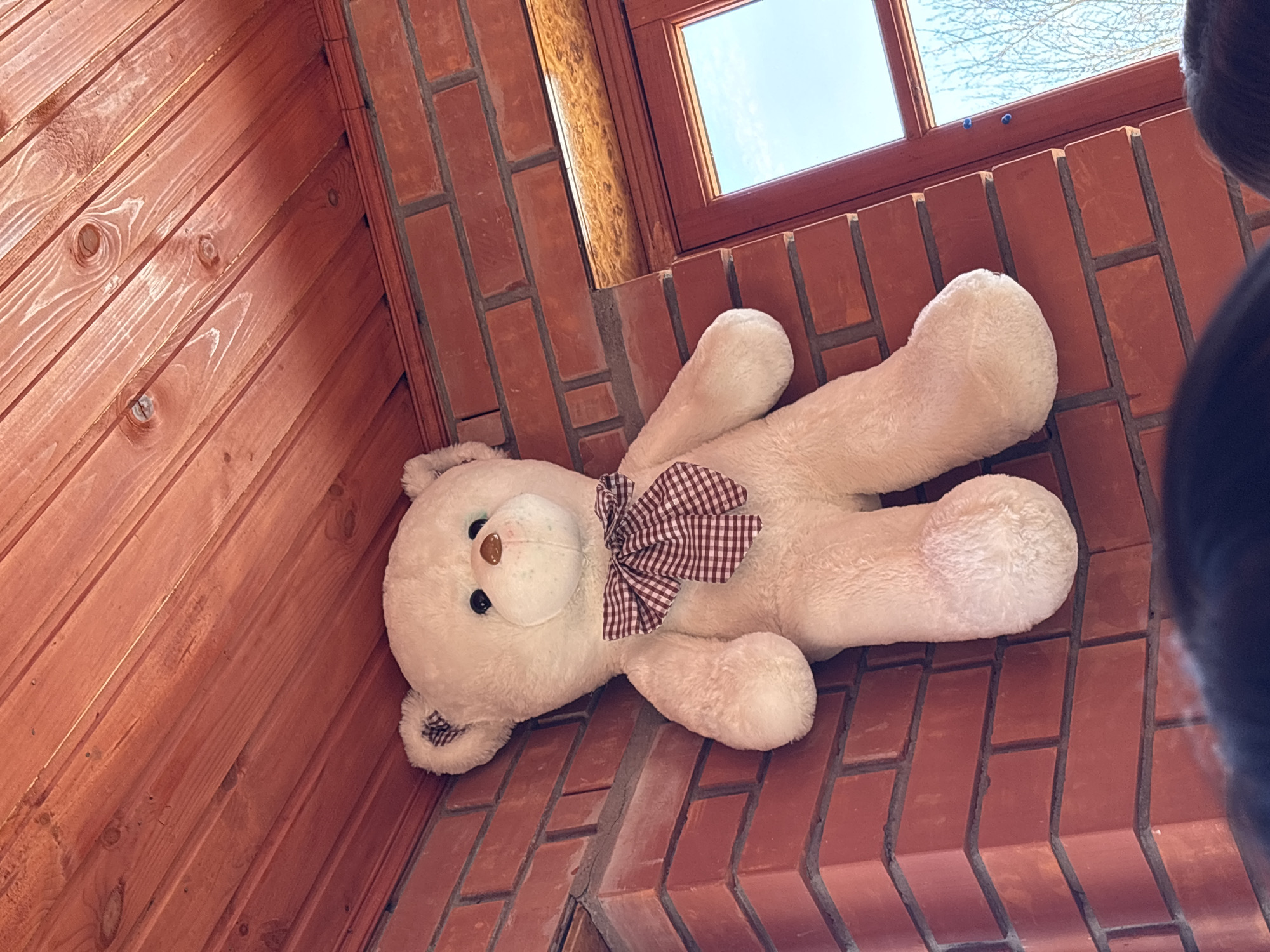 The scene, located indoors in the city of Ферма, Russia, depicts a large, pale cream-colored teddy bear positioned against a red brick wall. The bear features prominent black eyes, a light brown nose, and a red and white checkered bow tied around its neck, with matching checkered fabric visible in its inner ears. Above the brick wall, a ceiling composed of reddish-brown wooden planks, exhibiting distinct wood grain and knots, extends diagonally across the upper frame. To the right of the teddy bear, a window with a dark reddish-brown wooden frame reveals an outdoor view consisting of a clear blue sky and the leafless branches of trees. The bottom edge of the image shows the tops of multiple human heads, indicating an upward observational perspective.