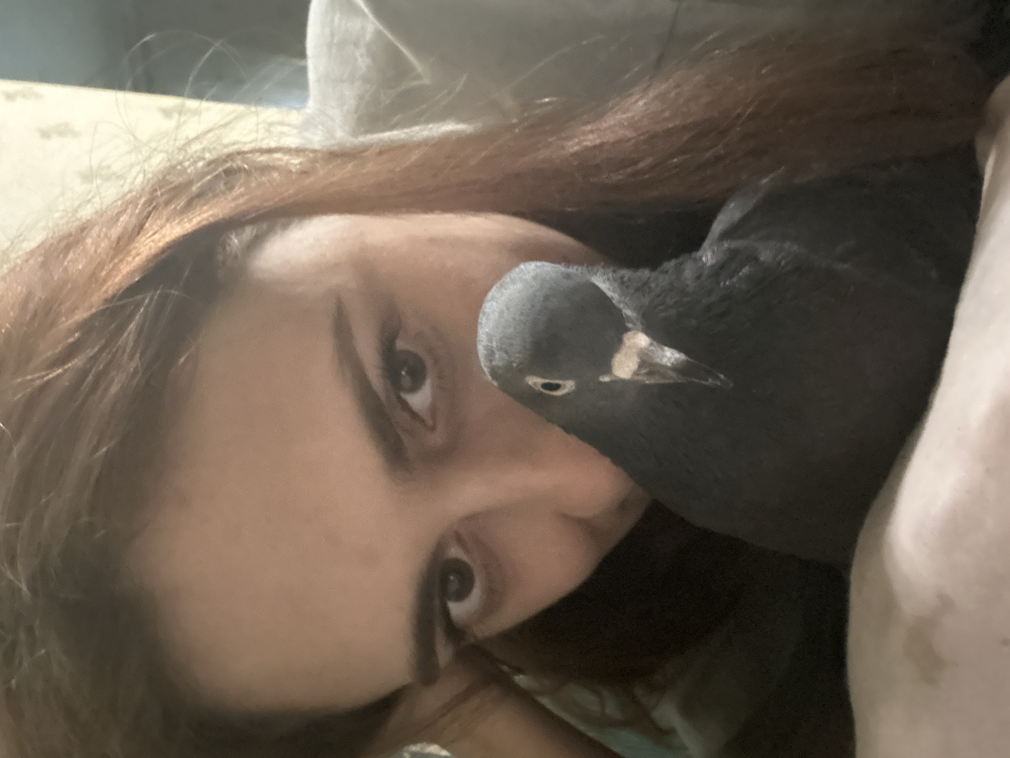 The image is a close-up selfie taken indoors, possibly in a residential setting in Togliatti, Russia. A person with reddish-brown hair is in the background, with their face turned towards the camera. In the foreground, a dark grey pigeon is nestled against the person, with its head peeking out and its beak visible. The person's eyes are looking at the camera, and their hand is resting near their face. The background appears to be a wall with some subtle texture or pattern. The lighting is dim, suggesting an indoor environment, potentially a home.