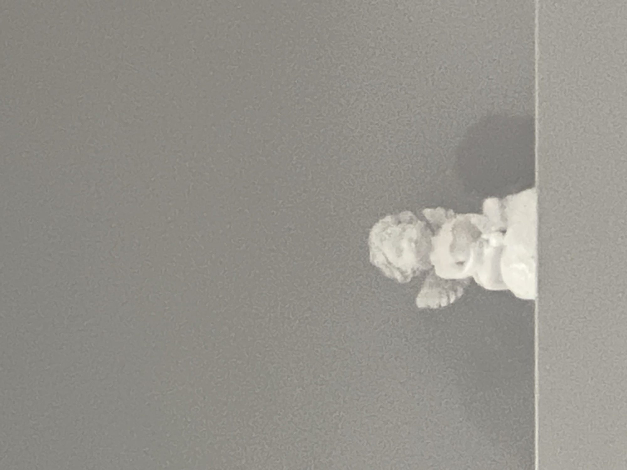 A small, white cherub figurine is positioned on a shelf in front of a grey wall. The figurine is in a seated pose, holding a heart in its hands. A shadow of the figurine is cast on the wall behind it. The shelf appears to be made of a light-colored material. The overall scene suggests a decorative display. There is no information in the image to indicate the location in the city of Podgumer, Bulgaria.
