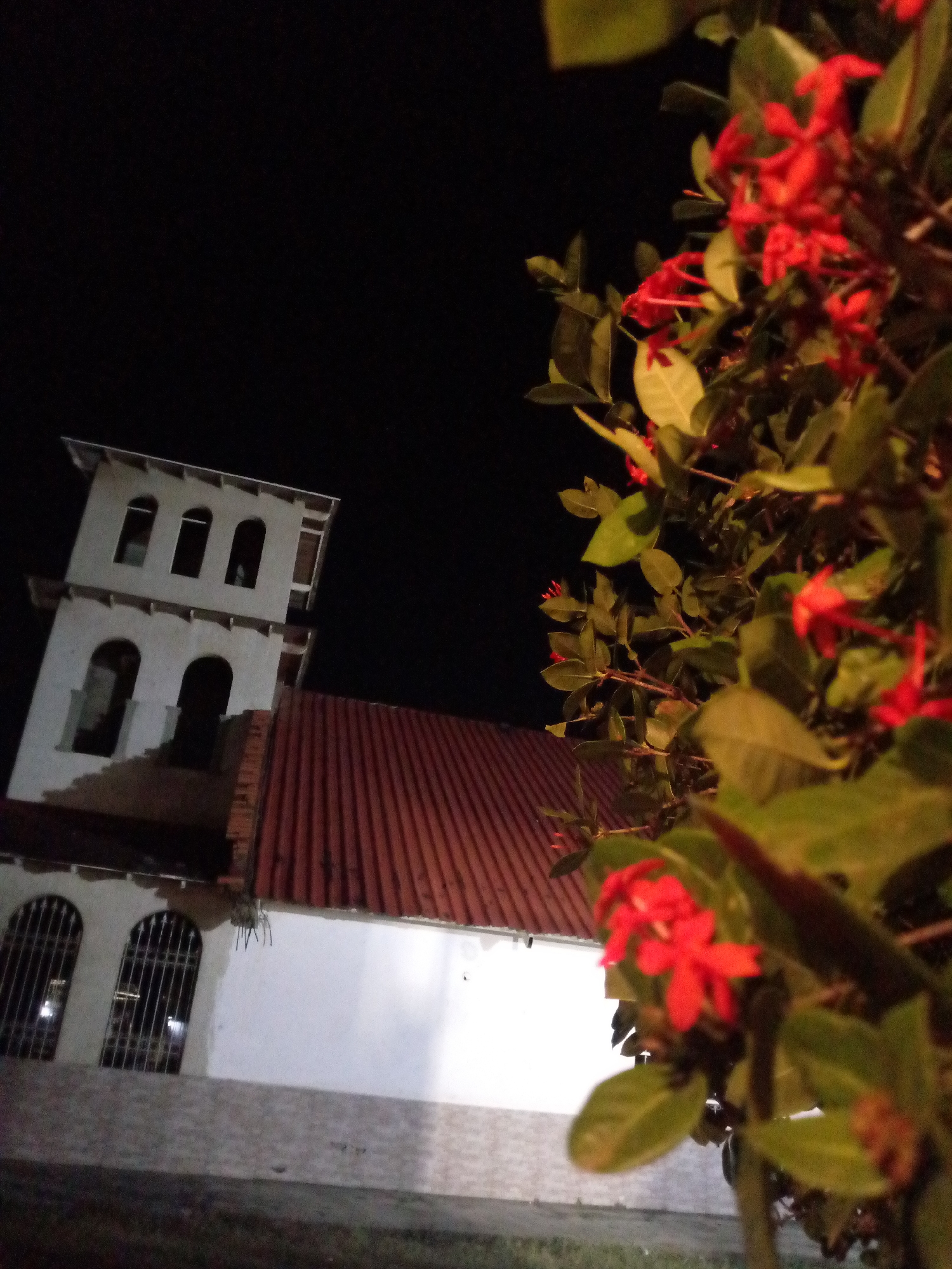 The image displays a nighttime view of the Church of San Juan Evangelista in Juan Griego, Venezuela. The scene is dominated on the right by a heavily blurred shrub with dark green leaves and multiple clusters of small, bright red flowers, which occupies approximately one-third of the frame. To the left, the church building features a three-tiered white bell tower with distinct arched openings on each visible level. A reddish-brown corrugated roof extends from the bell tower towards the right, covering a portion of the church structure. Below the roofline on the left, a section of a white wall includes two arched windows fitted with vertical metal security bars. The ground immediately in front of the building appears to be a paved surface, while the extreme bottom left shows a dark, indistinct grassy area. Artificial lighting illuminates the church facade and portions of the foreground foliage against a dark, unlit night sky.