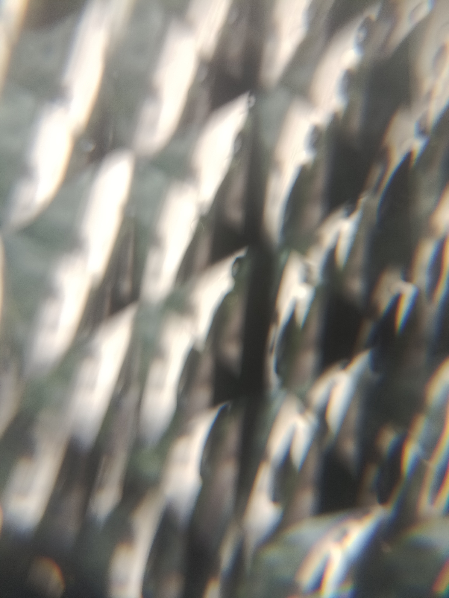 The image is an abstract, blurry close-up of what appears to be US dollar bills viewed through a faceted lens, possibly a prism or a textured glass. The dominant colors are muted greens, whites, and grays, with occasional streaks of rainbow-like colors due to light refraction. The pattern suggests multiple denominations of bills are layered or arranged in a way that distorts their recognizable features into abstract shapes. The lighting is bright, creating highlights and shadows that further obscure the details. There is no clear indication of people, a specific scene, setting, time of day, weather, or location cues within the abstract composition. No text is legible. The overall impression is one of financial motifs presented in a distorted, impressionistic manner.