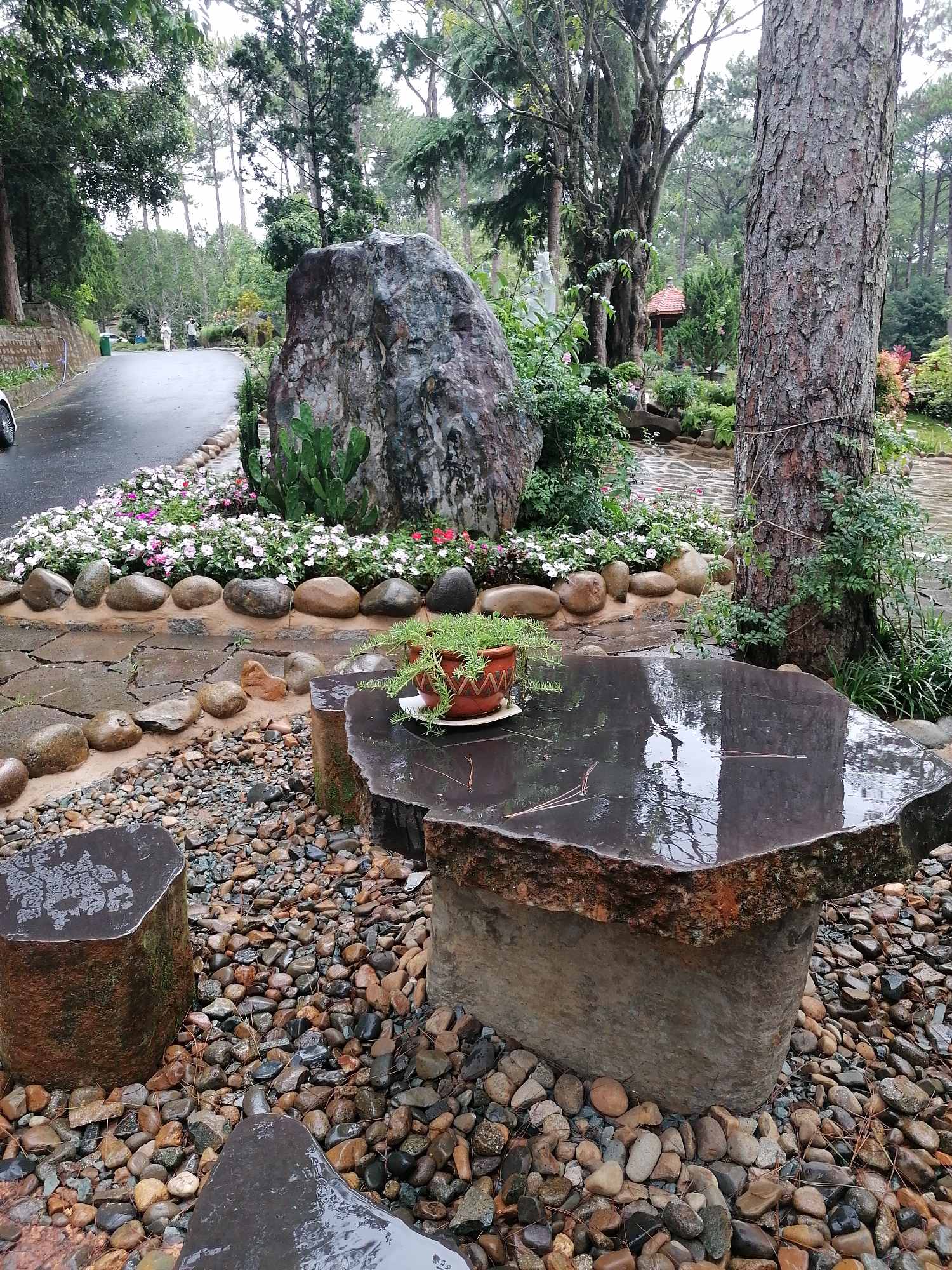 The image depicts an outdoor setting in Da Lat, Vietnam, likely a garden or park area. The ground is covered in small pebbles, and a stone table with a potted plant sits prominently in the foreground. A stone stool is positioned next to the table. The table surface is wet, reflecting the surrounding environment. A large boulder is located behind the table, bordered by a flower bed with white and pink blossoms. A tree trunk stands tall to the right of the boulder. In the background, a paved path or road leads away from the viewer, with hints of other trees and structures. Two individuals are seen far away on the paved path. The scene suggests a rainy or recently wet environment.
