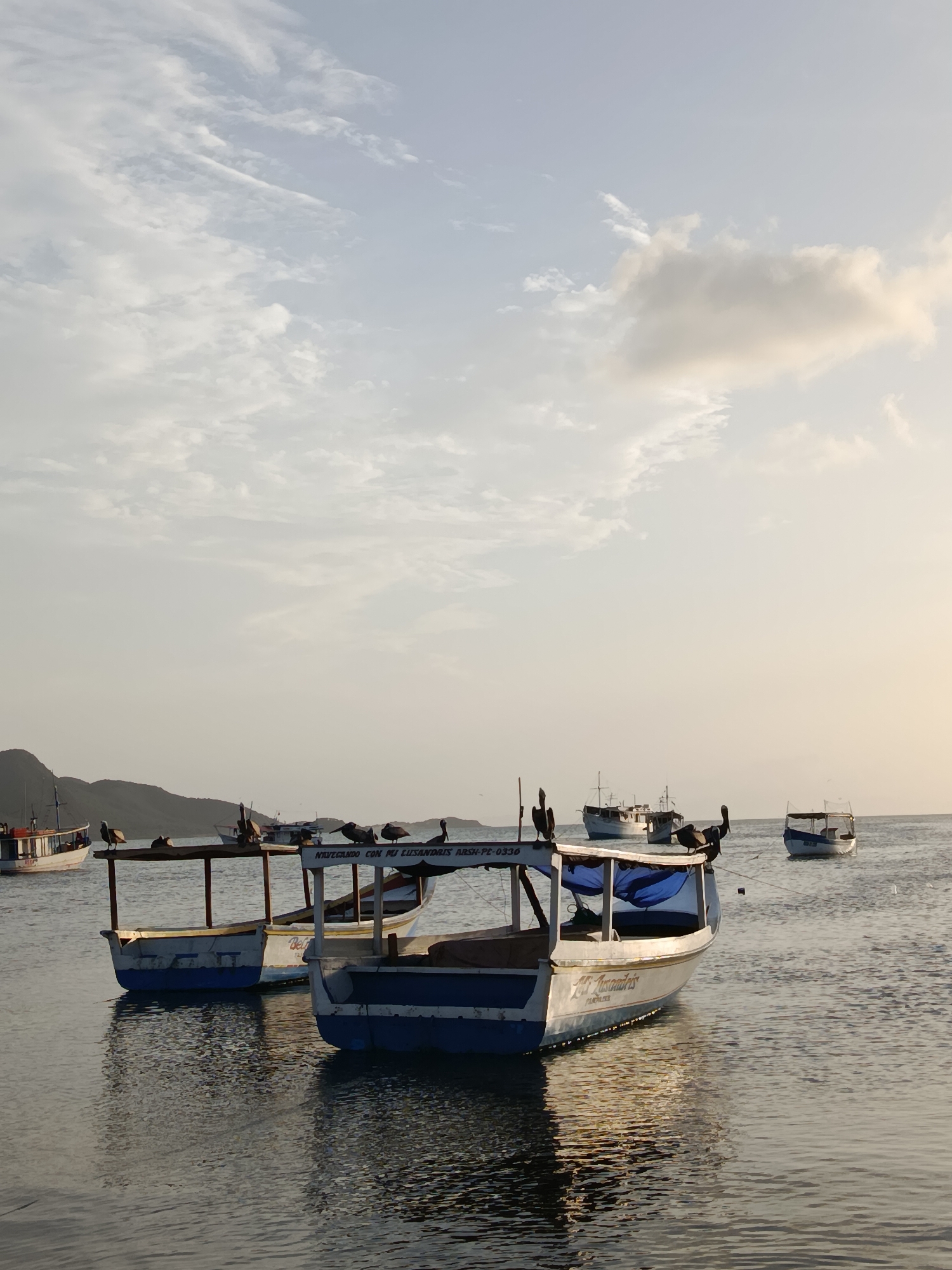In Juan Griego, Venezuela, several small fishing boats are anchored in calm waters under a partly cloudy sky. Pelicans perch on the railings and roofs of the boats, which are mostly white with blue accents. In the background, hills are visible, and other boats are scattered across the water. The sun is setting, casting a warm glow on the scene.