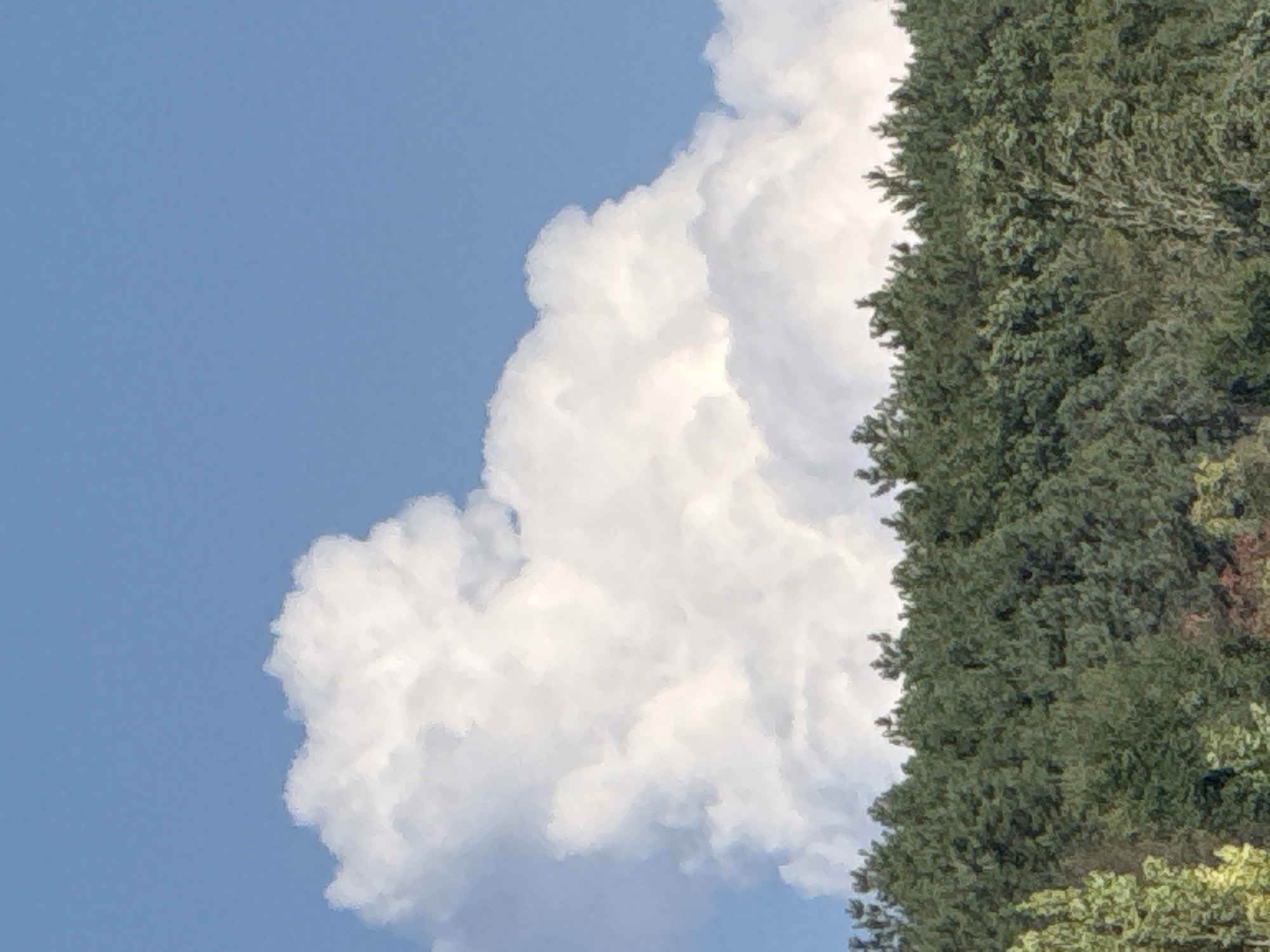 The image depicts a vast, white cumulonimbus cloud formation dominating the bright blue sky above a dense, dark green forest. The cloud is voluminous and textured, with distinct puffy shapes and shadowed undersides. The forest appears as a solid mass of trees, with hints of lighter green foliage interspersed, suggesting a mix of tree types. The bottom edge of the image shows the tops of the trees, forming a horizontal line against the sky. There are no people or man-made structures visible in the scene. The location is identified as Скалистовское сельское поселение, Ukraine.