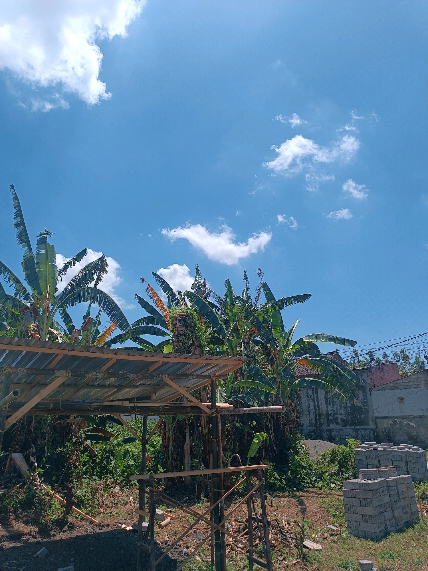 The image depicts an outdoor scene on a bright, sunny day with a clear blue sky dotted with white clouds. In the foreground, a makeshift shelter with a corrugated metal roof is partially visible, supported by bamboo poles. To the right of the shelter, stacks of gray bricks are neatly arranged on the ground. Banana trees with large green leaves dominate the midground, some showing signs of damage or wear. Behind the banana trees, a wall of a building with a pinkish-brown roof is visible, along with power lines stretching across the frame. The ground is a mix of dry grass and bare earth. This scene is likely located in a rural or semi-rural area of Tabanan, Indonesia, given the presence of banana trees and the architectural style of the building in the background. There are no people visible in the image.