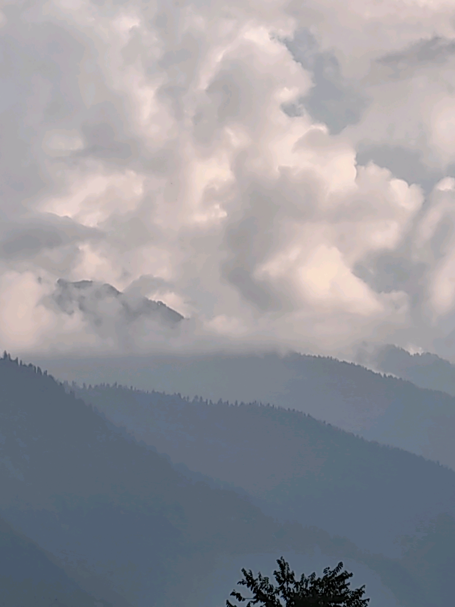The image depicts a layered landscape of mountains under a cloudy sky. The foreground features the silhouette of a leafy tree. Behind the tree, successive ranges of mountains recede into the distance, each appearing in a darker shade of blue-gray. The uppermost mountain range is partially obscured by dramatic, luminous clouds that dominate the upper half of the image, catching light and creating a sense of depth and atmosphere. The overall scene suggests a natural, possibly mountainous environment, consistent with locations like Vashisht, India, known for its scenic mountain views. There are no people or discernible actions visible in the image.