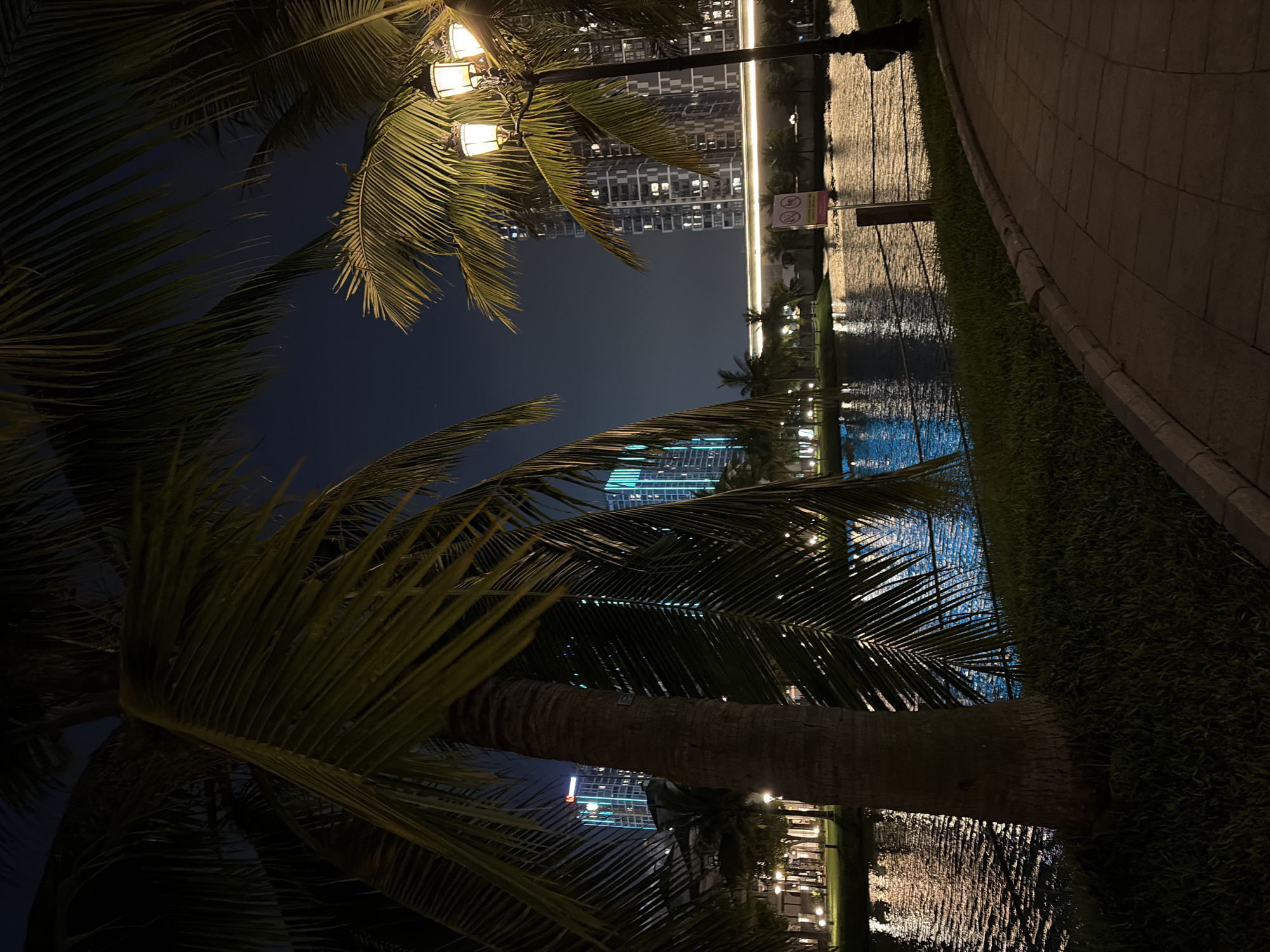 The image depicts a nighttime scene in an urban park by a body of water, likely in Hanoi, Vietnam, given the presence of modern skyscrapers and tropical vegetation. In the foreground, a large palm tree trunk dominates the left side, with its fronds partially obscuring the view. To the right, a lamppost with three illuminated globes stands amidst more palm fronds, casting a warm glow. A paved walkway curves into the frame from the lower right.
The body of water, reflecting the lights from the city, occupies the middle ground. On the opposite bank, several modern high-rise buildings are visible, illuminated with blue and white lights. A horizontal band of light streaks across the scene in front of the buildings, suggesting vehicular traffic or perhaps a light rail system. The sky is dark, indicating nighttime. The environment appears to be a well-maintained park or waterfront area, designed for public recreation. There are no people visible in the frame.