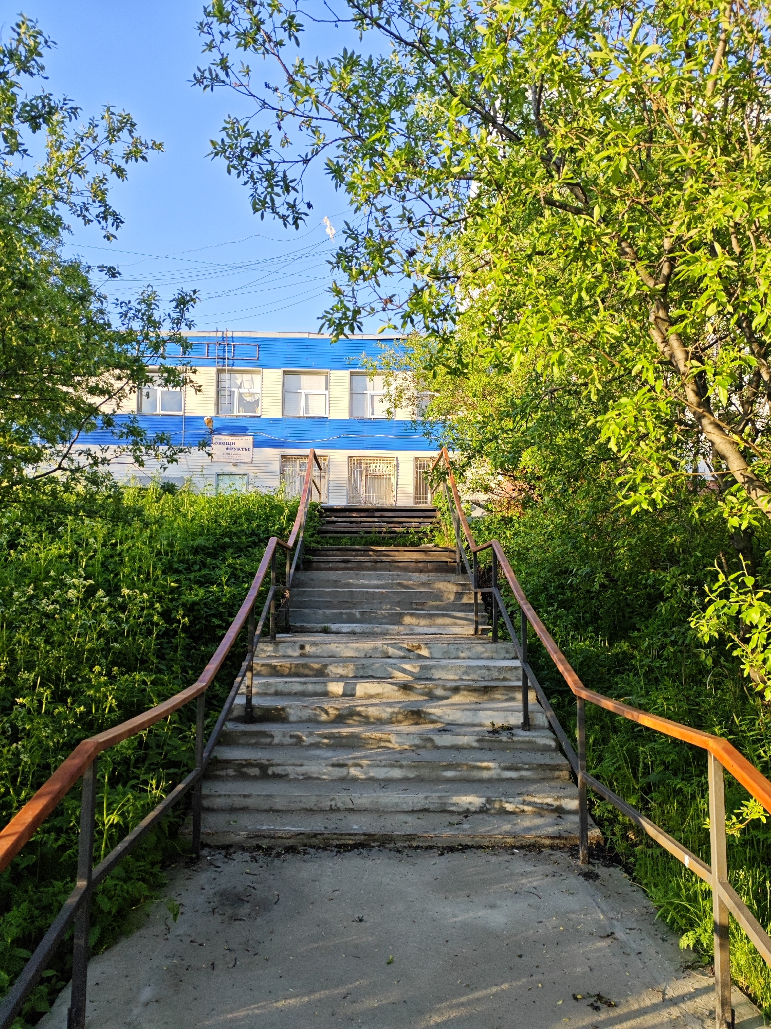 A concrete staircase with metal railings, worn wooden handrails, leads up to a building. The building has a light-colored facade with a blue stripe and windows with white frames. Green trees and dense foliage surround the staircase and the building. Overhead, power lines are visible against a clear blue sky. A sign is mounted on the building, partially obscured by foliage.