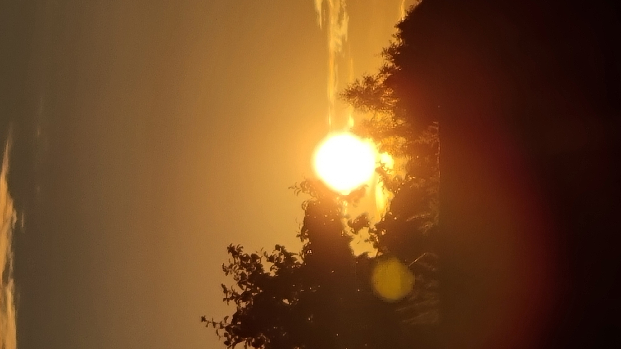 The image shows a sunset with a bright sun and silhouetted trees. The sky is a warm orange color with some clouds at the top. The foreground is dark and indistinct, suggesting it is evening. The scene appears to be in a natural or rural setting. Without further information, it is impossible to determine the specific location within Vysokoe, Russia.