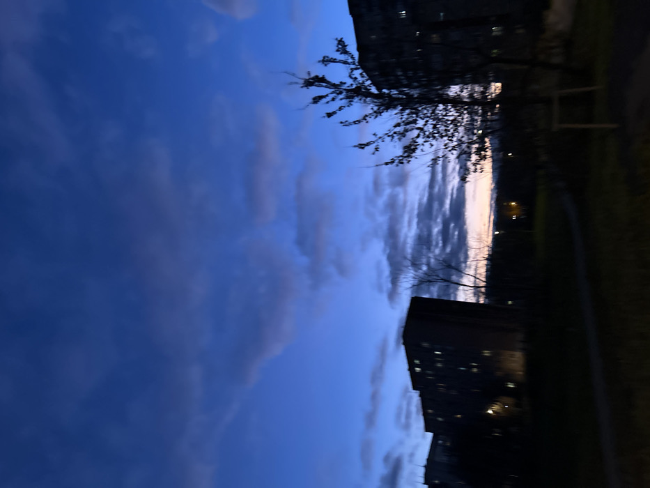 This image displays an urban twilight scene in Voskresensk, Russia. The sky occupies the upper two-thirds of the frame, exhibiting a deep blue hue overhead that transitions to a lighter blue. Scattered, horizontally-aligned dark grey clouds are present across the sky, with a faint band of orange-pink light visible along the distant horizon, suggesting either dawn or dusk.
In the midground, multiple dark-silhouetted multi-story residential buildings are visible on both the left and right sides of the frame. Several windows within these buildings show faint internal illumination, appearing as small, distinct light points. A prominent, leafless or sparsely-foliated tree stands silhouetted against the sky in the mid-right portion of the image. A light-colored, possibly wooden, support structure is visible near the base of this tree. Additional silhouetted trees and vegetation are scattered throughout the midground, located between and in front of the buildings.
The foreground consists of dark ground cover, likely grass or unpaved earth, with a subtly discernible path curving towards the left. In the background, beyond the immediate structures and vegetation, several small, yellowish lights are visible, indicating distant artificial light sources such as streetlights. No individuals are present in the scene, and no discernible actions or interactions are depicted. The overall lighting is low, characteristic of twilight conditions.
