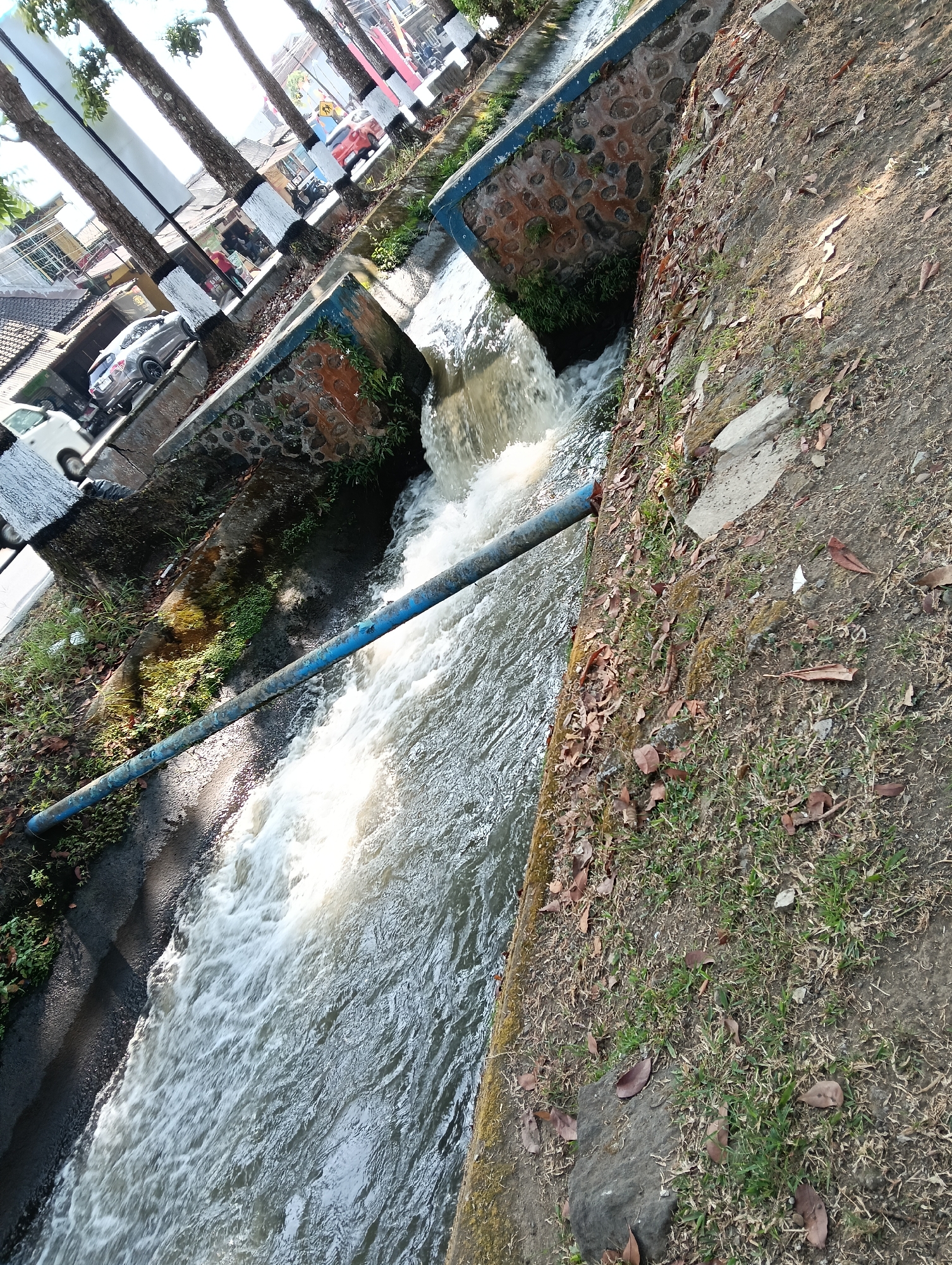 The image depicts a drainage canal with flowing water, likely in Banyurojo, Indonesia. The canal is lined with concrete and stone walls, with a blue pipe running across it. Vegetation, including grass and fallen leaves, grows along the canal's edge and the adjacent embankment. In the background, a street is visible with trees lining the sidewalk and several vehicles, including cars and motorcycles. The scene suggests an urban environment where a water management system is in place.