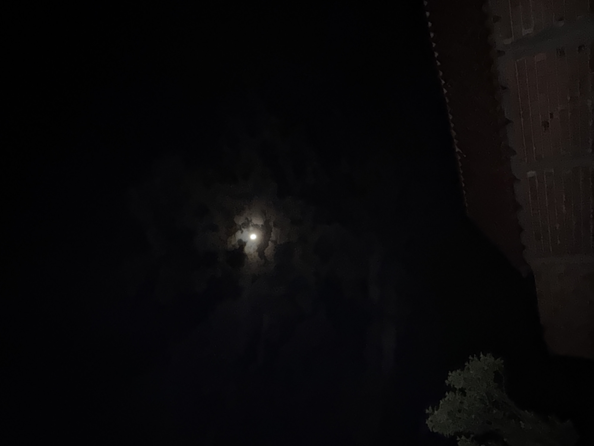 A night-time scene in Sarnevo, Bulgaria, shows a dim moon partially obscured by clouds in the center of the frame. A tree is visible in the lower right corner, and the edge of a building, possibly made of brick, is on the right side. The rest of the scene is dark.