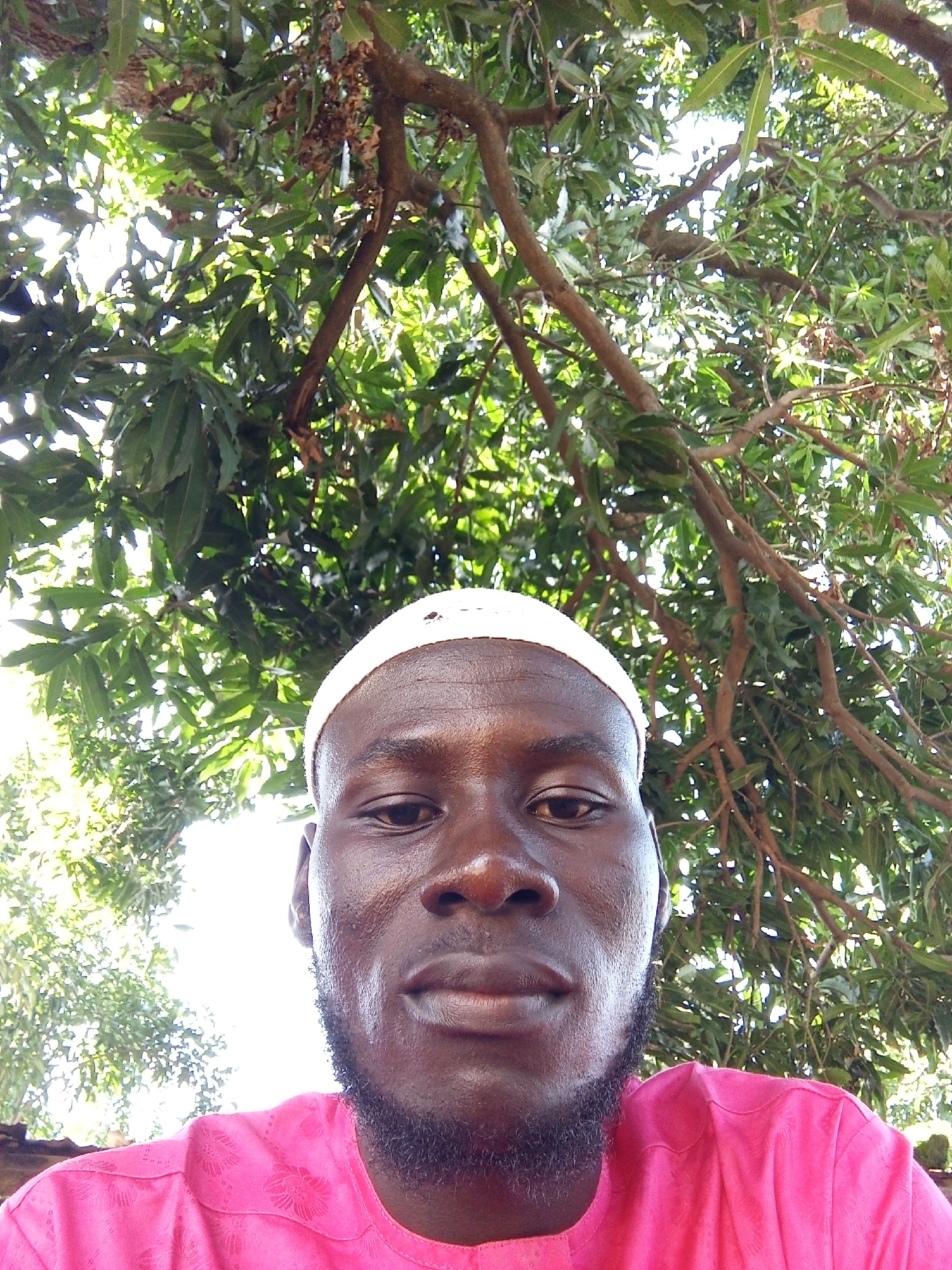 This is a selfie taken outdoors, with a person's face prominently in the foreground. The subject is a dark-skinned individual wearing a white kufi cap and a bright pink dashiki. They have a beard and appear to be looking directly at the camera with a neutral expression. The background is dominated by the lush green foliage and branches of a tree, suggesting a natural, possibly tropical, setting. Sunlight filters through the leaves, creating a bright and slightly dappled effect. The lower portion of the image shows the person's shoulders and chest, highlighting the intricate patterned embroidery on their dashiki. The overall impression is a casual, personal snapshot taken during the daytime, possibly in a rural or semi-rural environment in Serti, Nigeria, given the vegetation and the style of clothing. There is no visible text in the image.