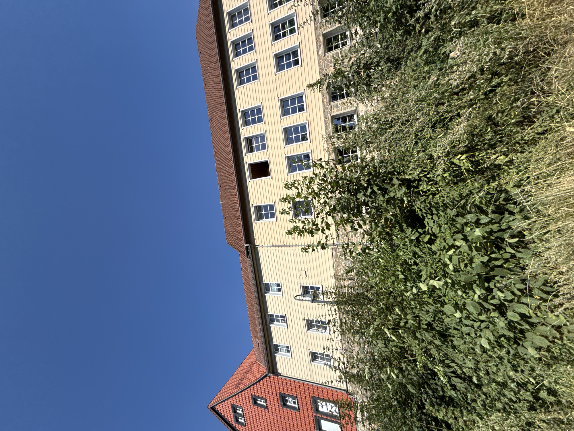 This low-angle outdoor, eye-level shot captures a segment of a building's facade against a clear, bright blue sky. The building features a red-tiled, gabled roof on the left, with lighter yellow horizontal siding on the main structure. White-framed windows with multiple panes are visible across the facade, some appearing closed and others open. A stone foundation or lower wall is visible beneath the siding. Overgrown green foliage, including leafy plants and tall grasses, densely covers the lower portion of the image, obscuring the base of the building and creating a naturalistic foreground. A single lamppost is positioned on the building's exterior, near the center of the frame. The scene appears to be in Herzberg, Germany, given the architectural style. No people are present in the frame.