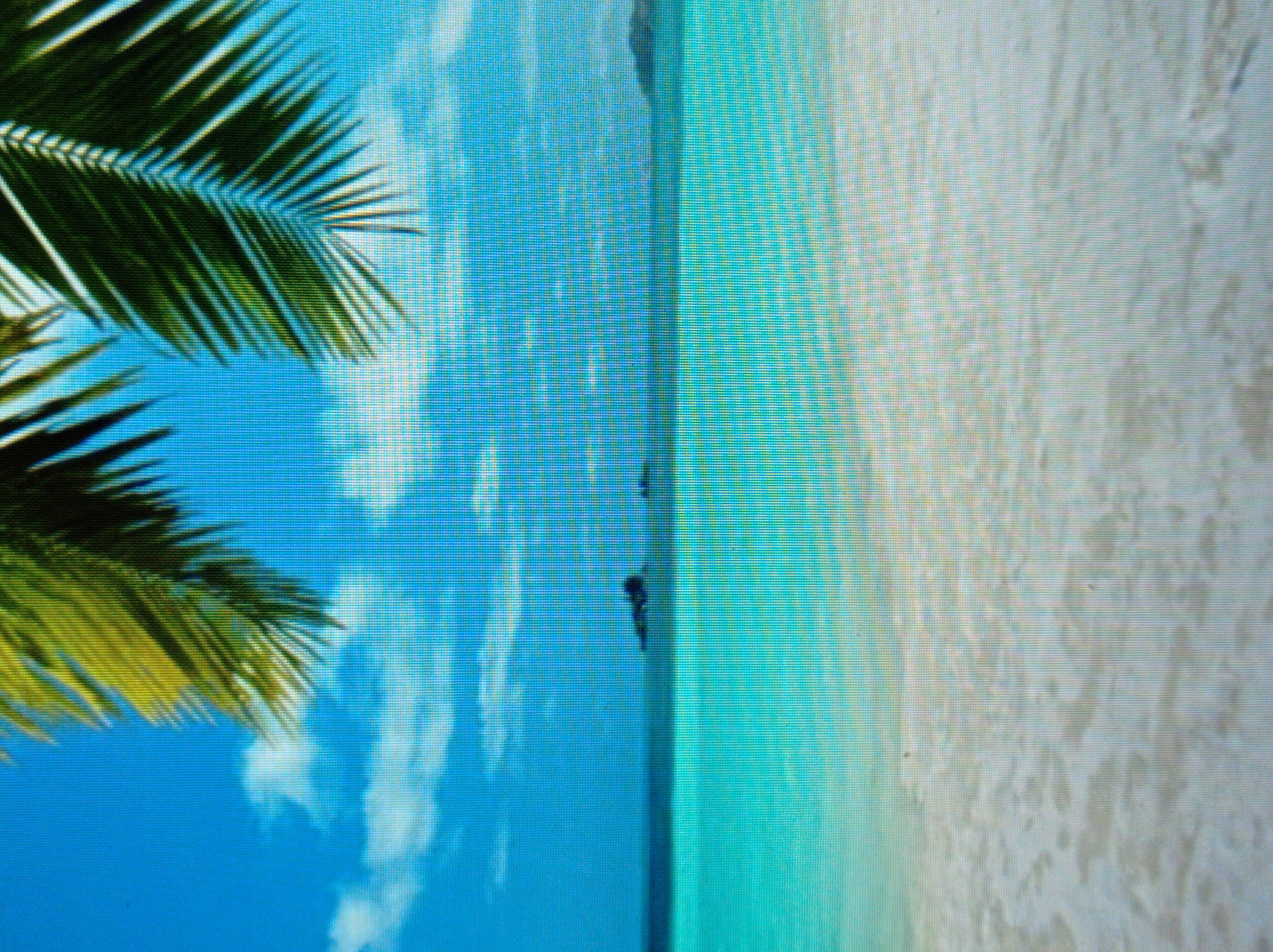 The image depicts a tropical beach scene with palm fronds in the foreground. The ocean is a vibrant turquoise, transitioning to a lighter shade near the shore. The sand is white and appears wet, suggesting the tide is close. In the distance, there are faint outlines of islands or landmasses under a bright blue sky with scattered white clouds. There are no people, objects, or actions visible in the scene. The image does not depict any location in the city of Mukachevo, Ukraine, as it is a tropical beach.